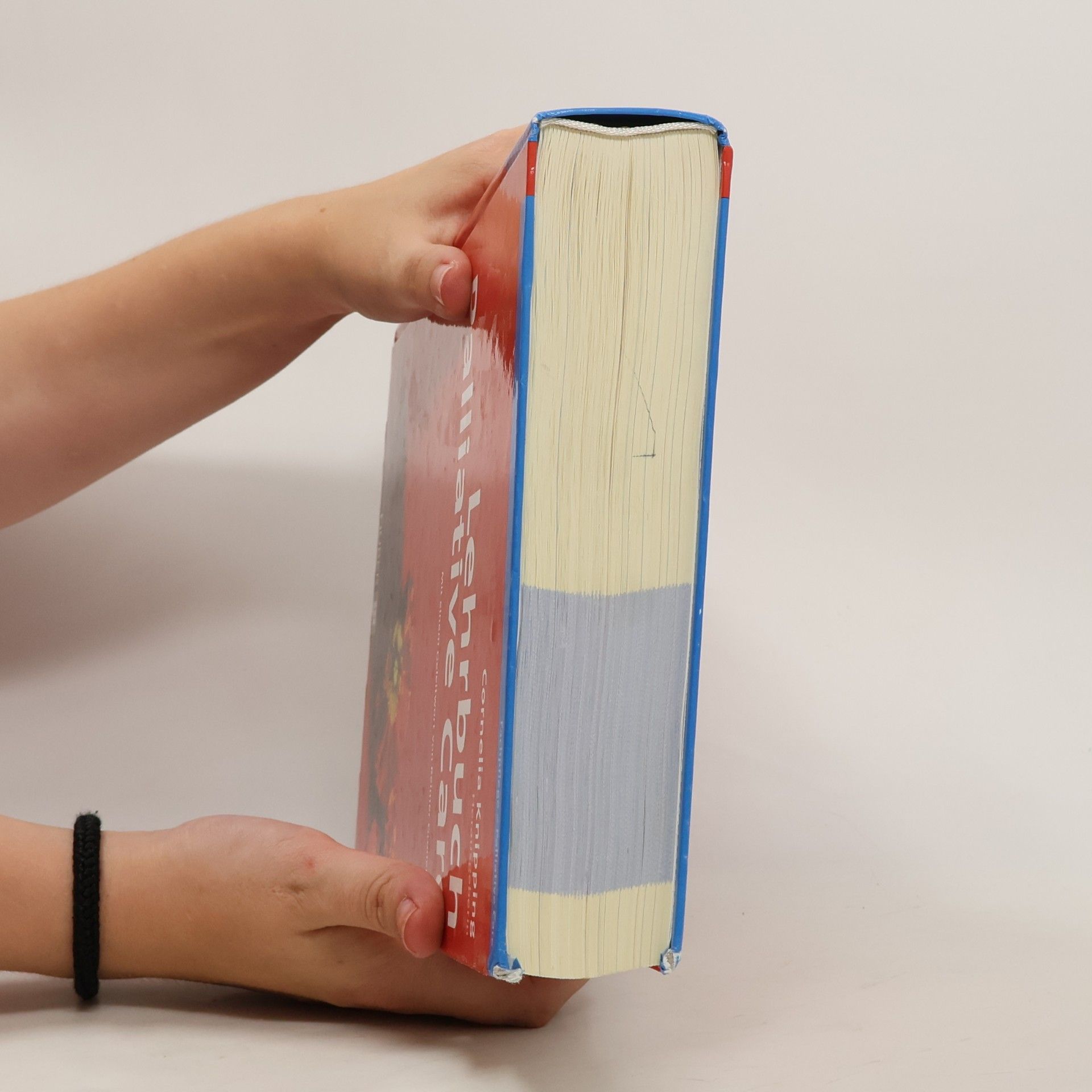 Cornelia Knipping Lehrbuch Palliative Care