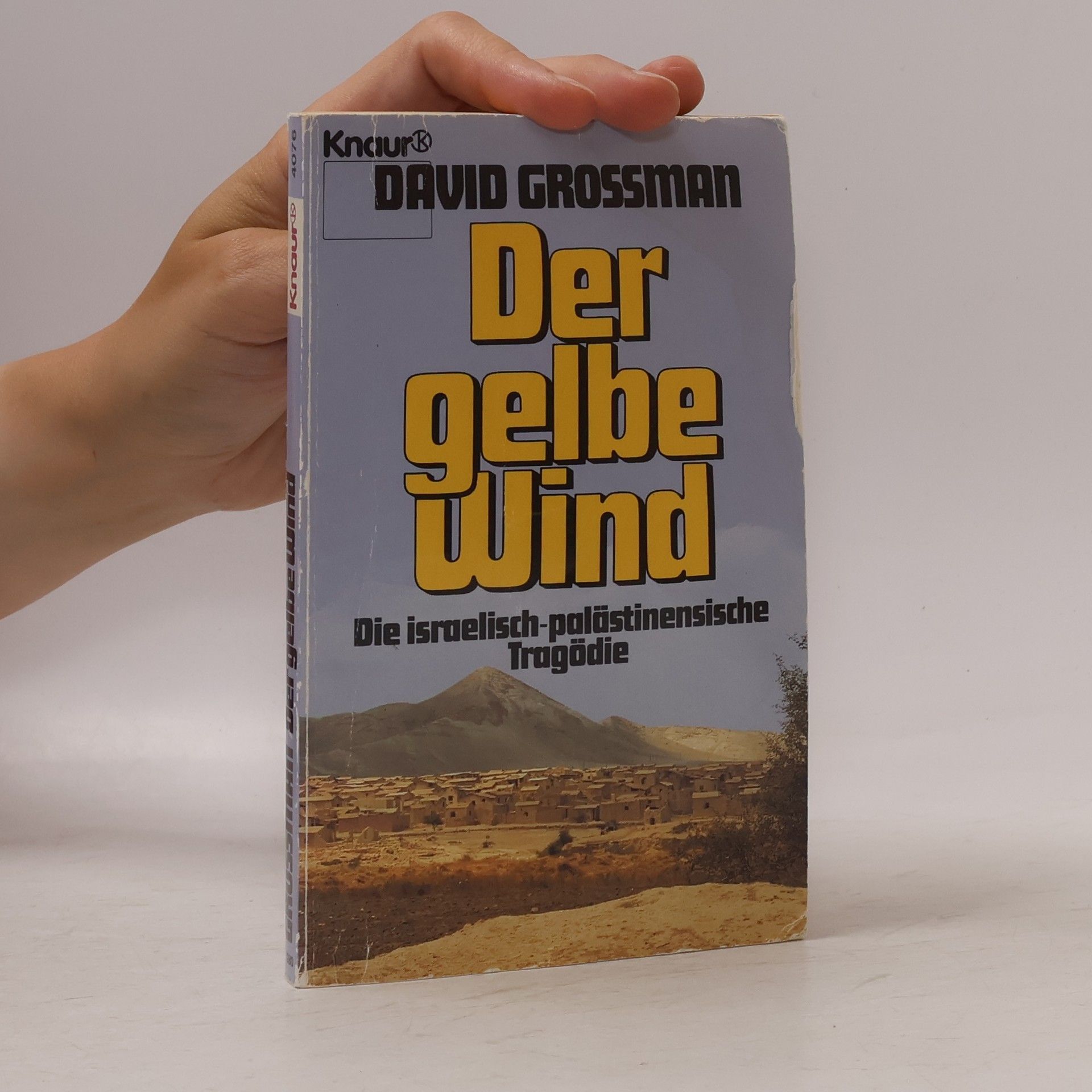 David Grossman Der gelbe Wind