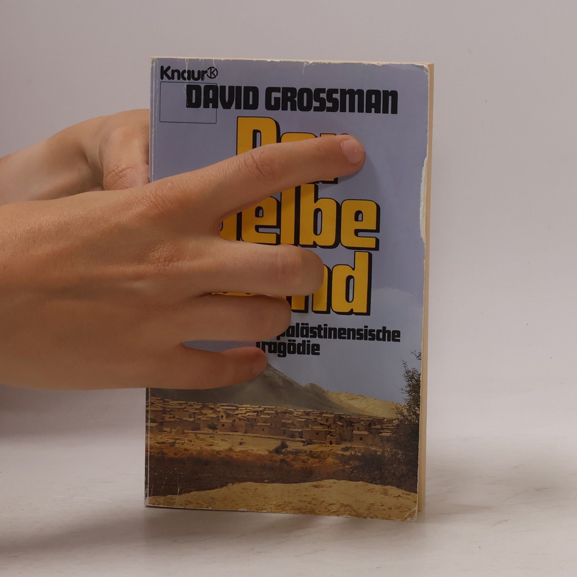 David Grossman Der gelbe Wind