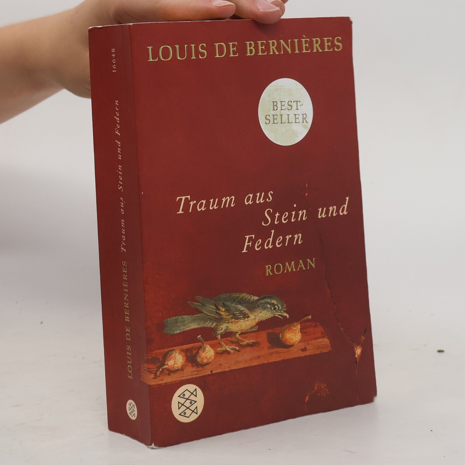 Louis de Bernieres Traum aus Stein und Federn