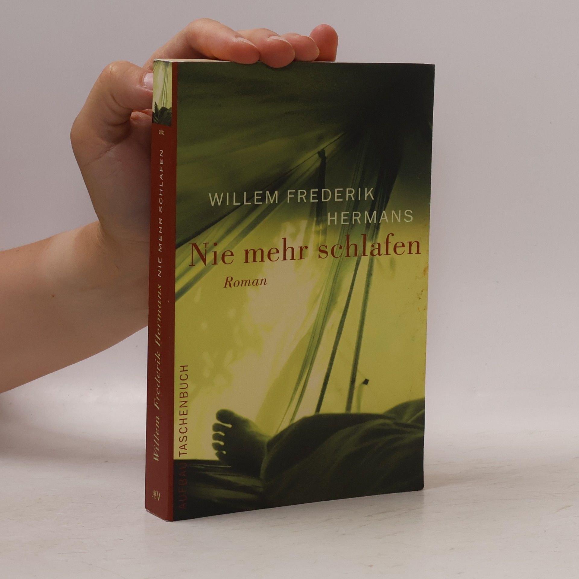 Willem Frederik Hermans Nie mehr schlafen