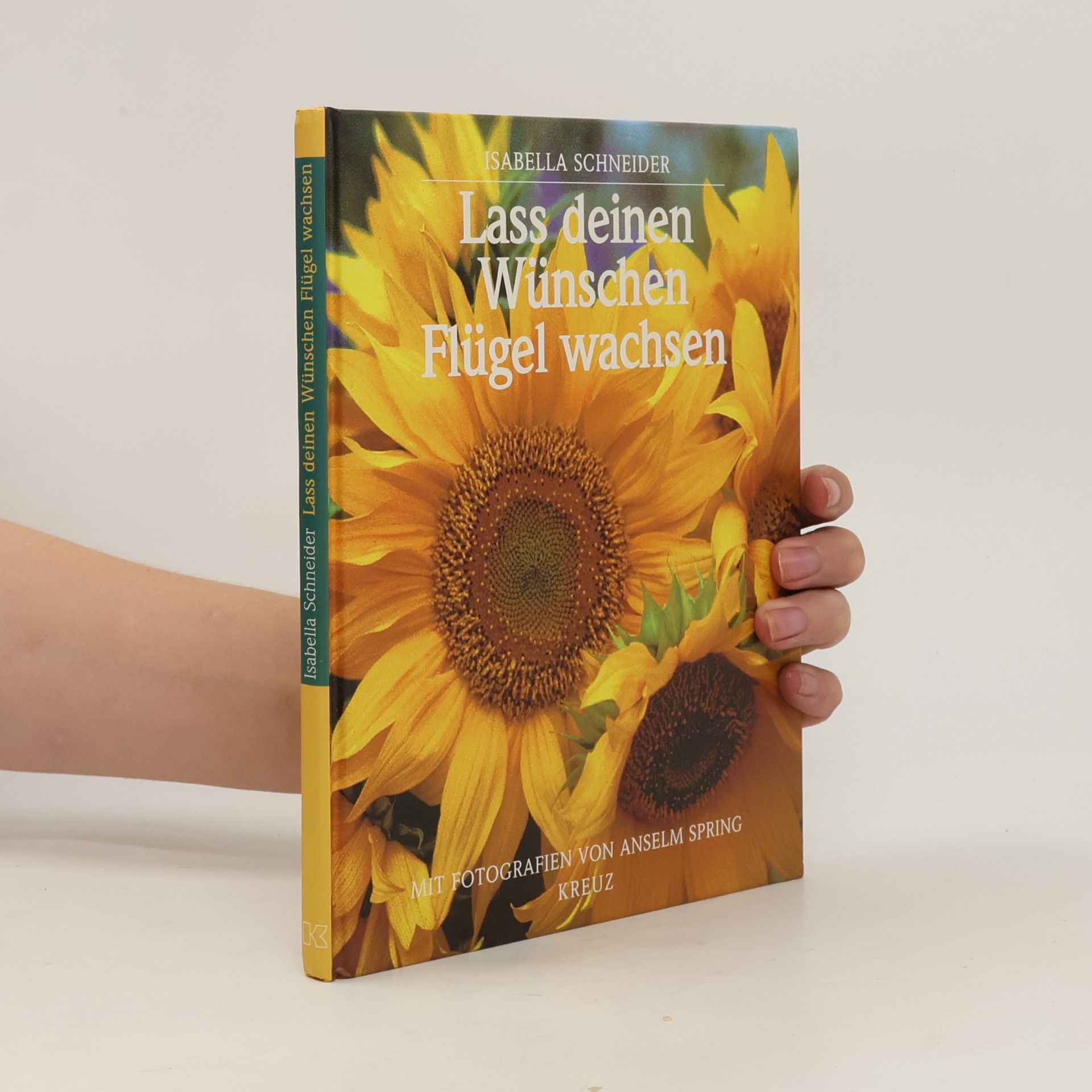 Isabella Schneider Lass deinen Wünschen Flügel wachsen