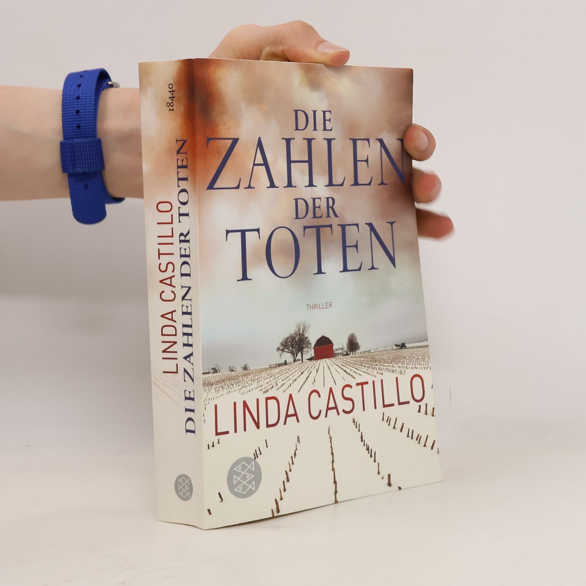 Linda Castillo Die Zahlen der Toten