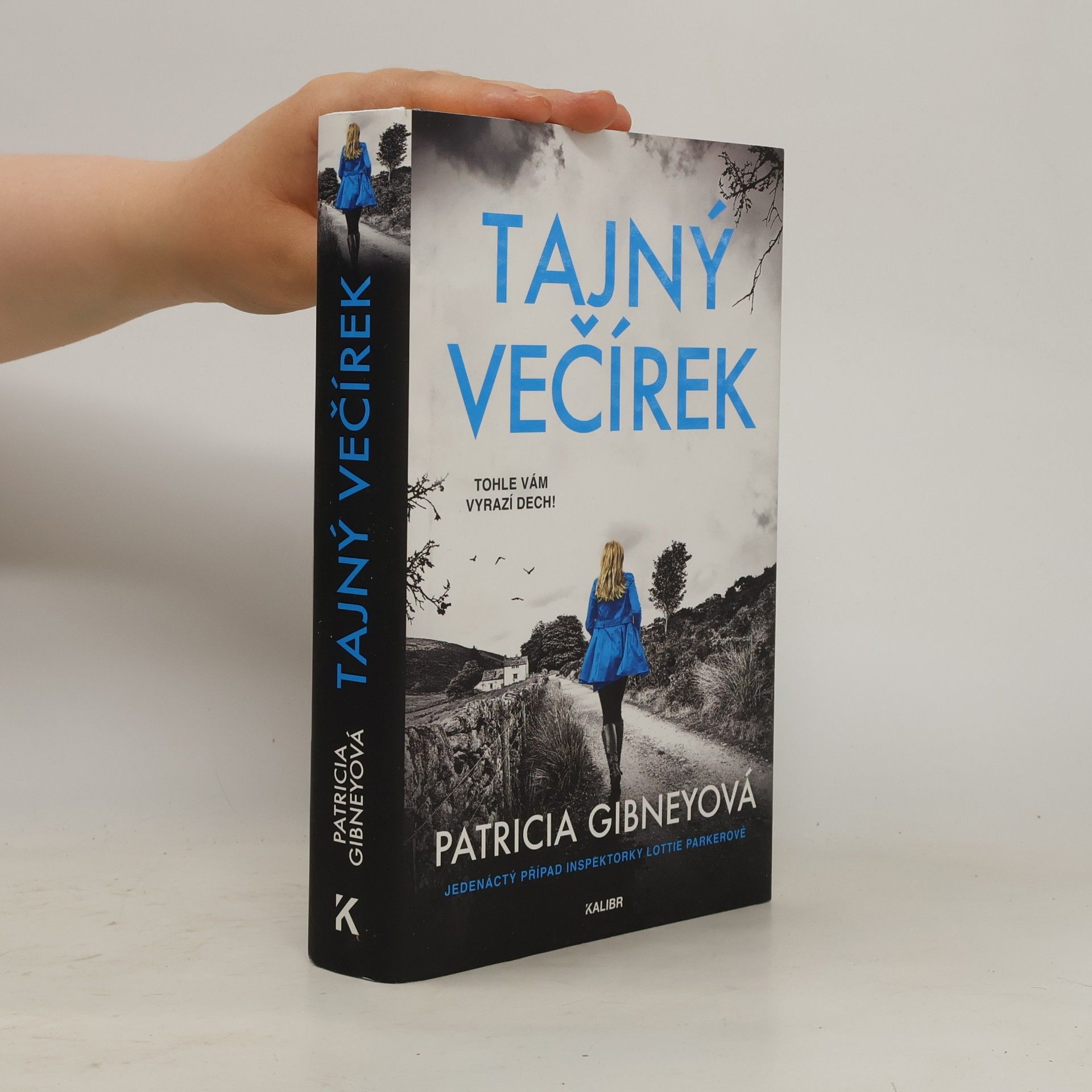 Patricia Gibney Tajný večírek