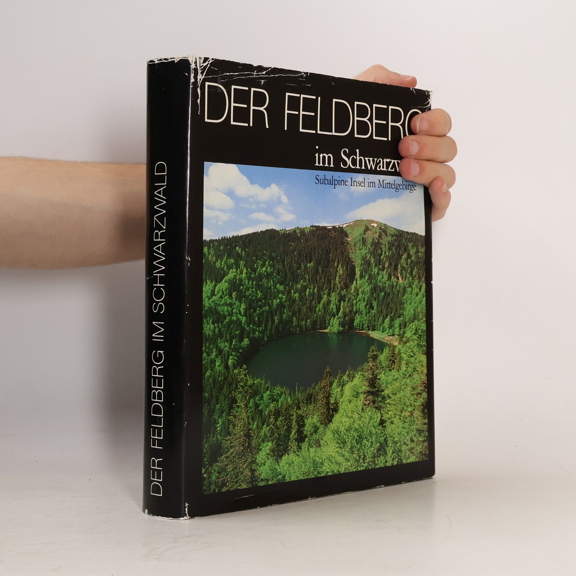 Der Feldberg im Schwarzwald