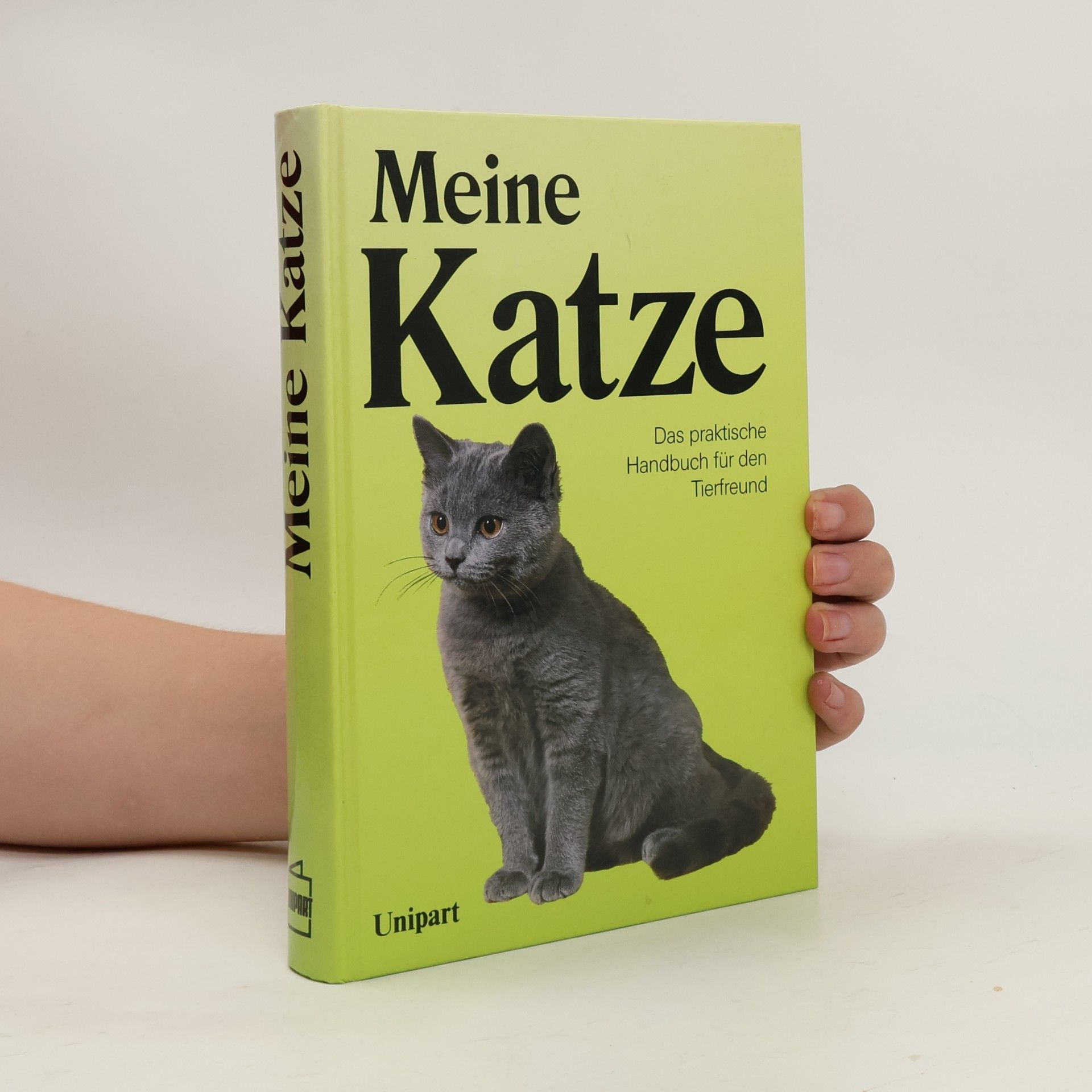 David Taylor Meine Katze