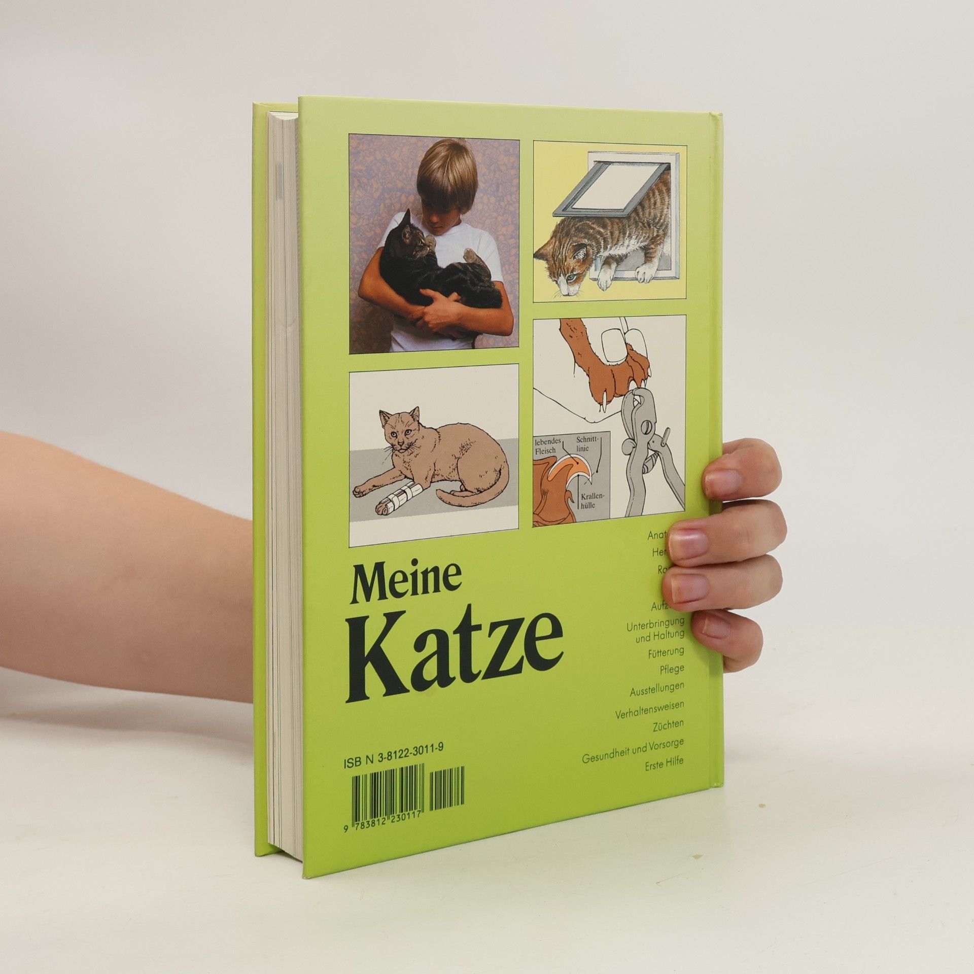 David Taylor Meine Katze