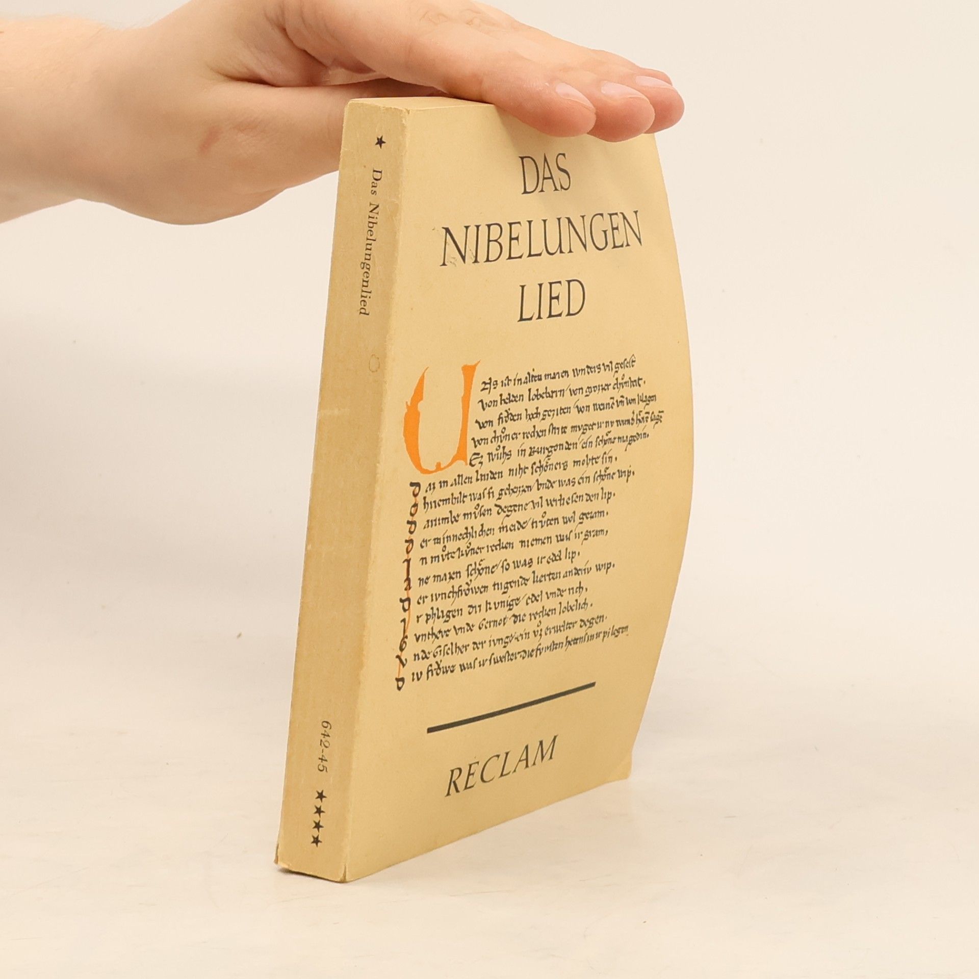 Autorenkollektiv Das Nibelungenlied