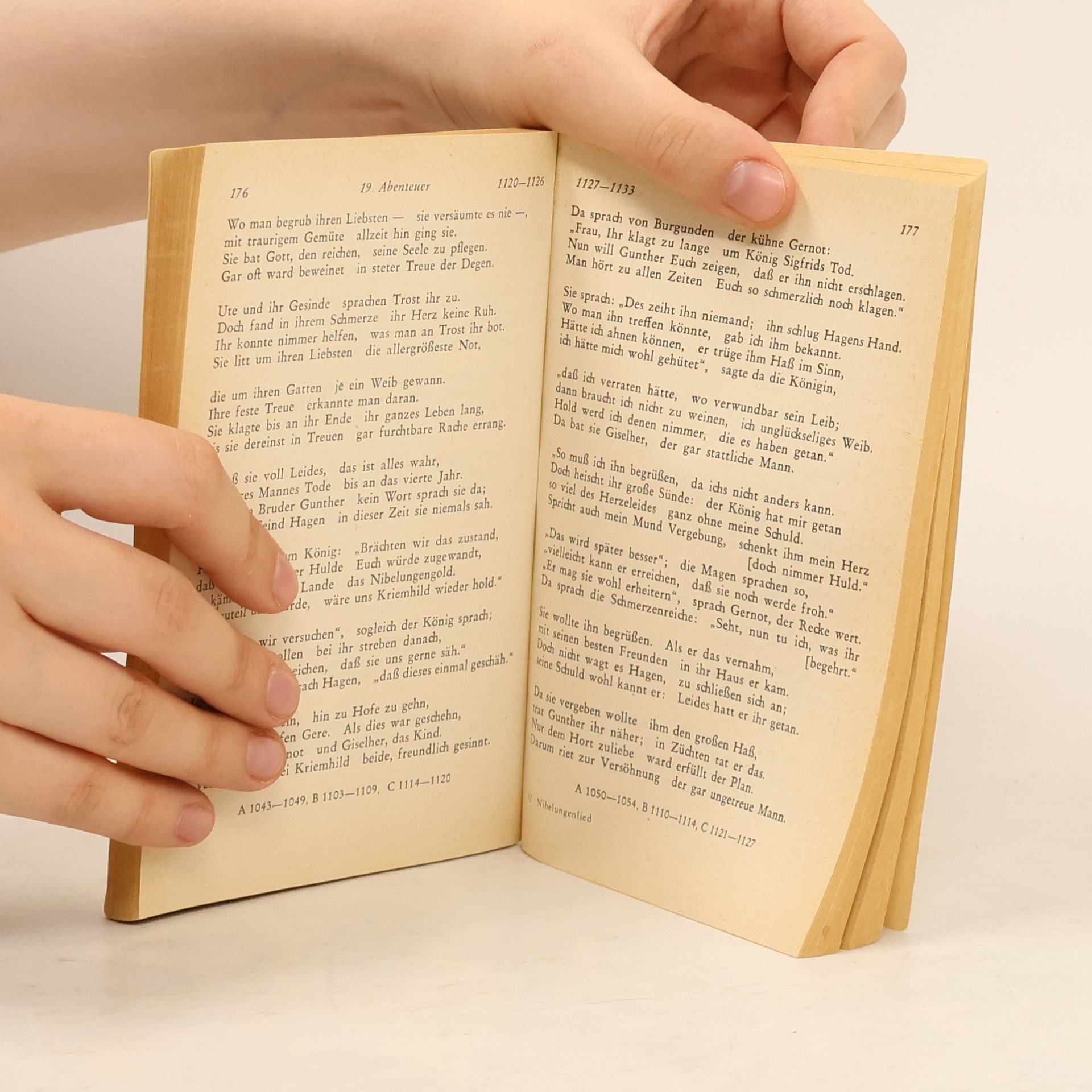 Autorenkollektiv Das Nibelungenlied
