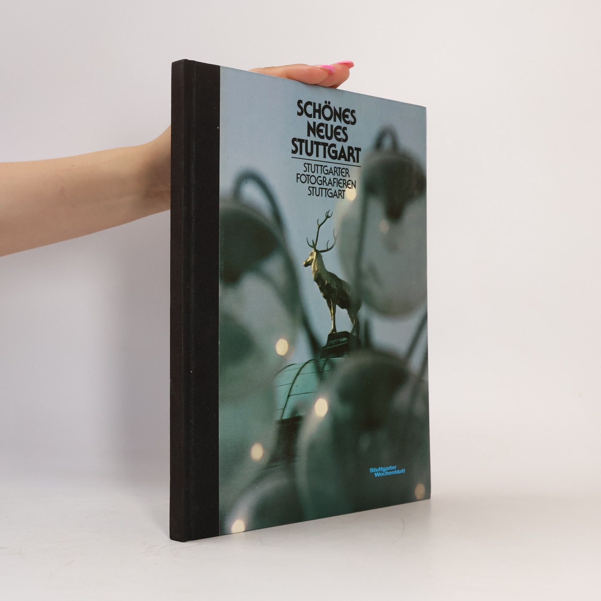 Collectif d'auteurs Schönes neues Stuttgart. Stuttgarter fotografieren Stuttgart