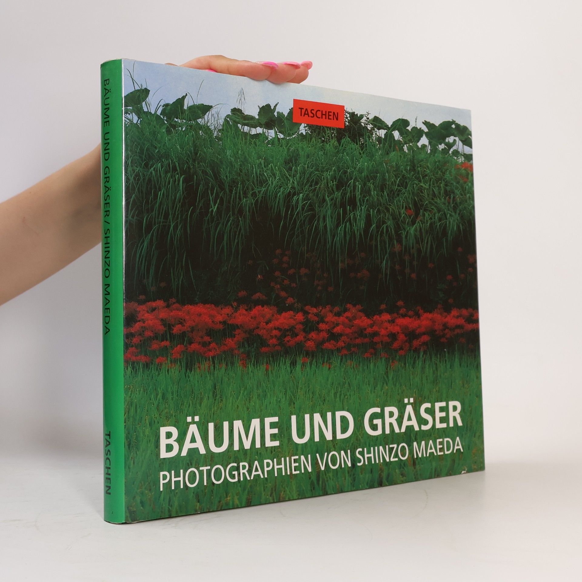 Shinzo Maeda Bäume und Gräser