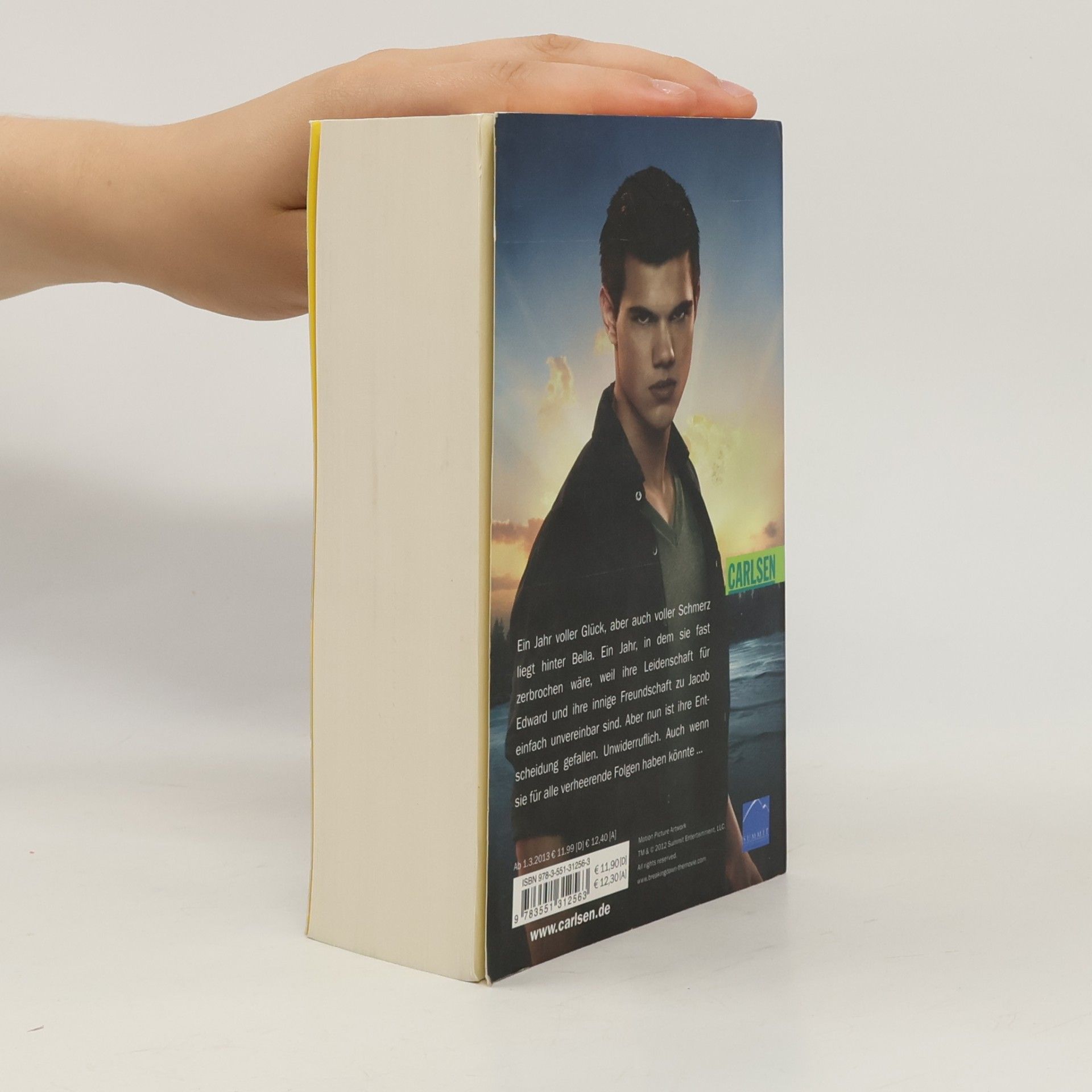 Stephenie Meyer Breaking Dawn
