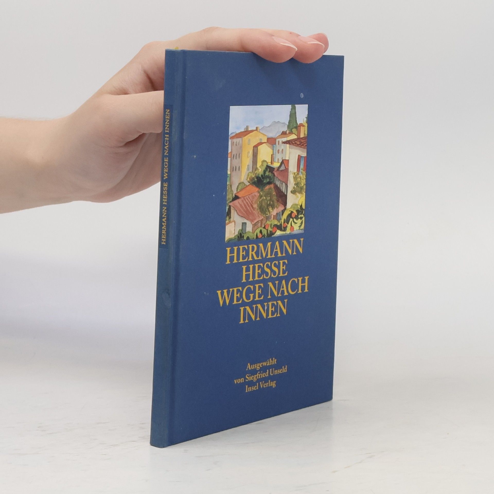 Hermann Hesse Wege nach innen