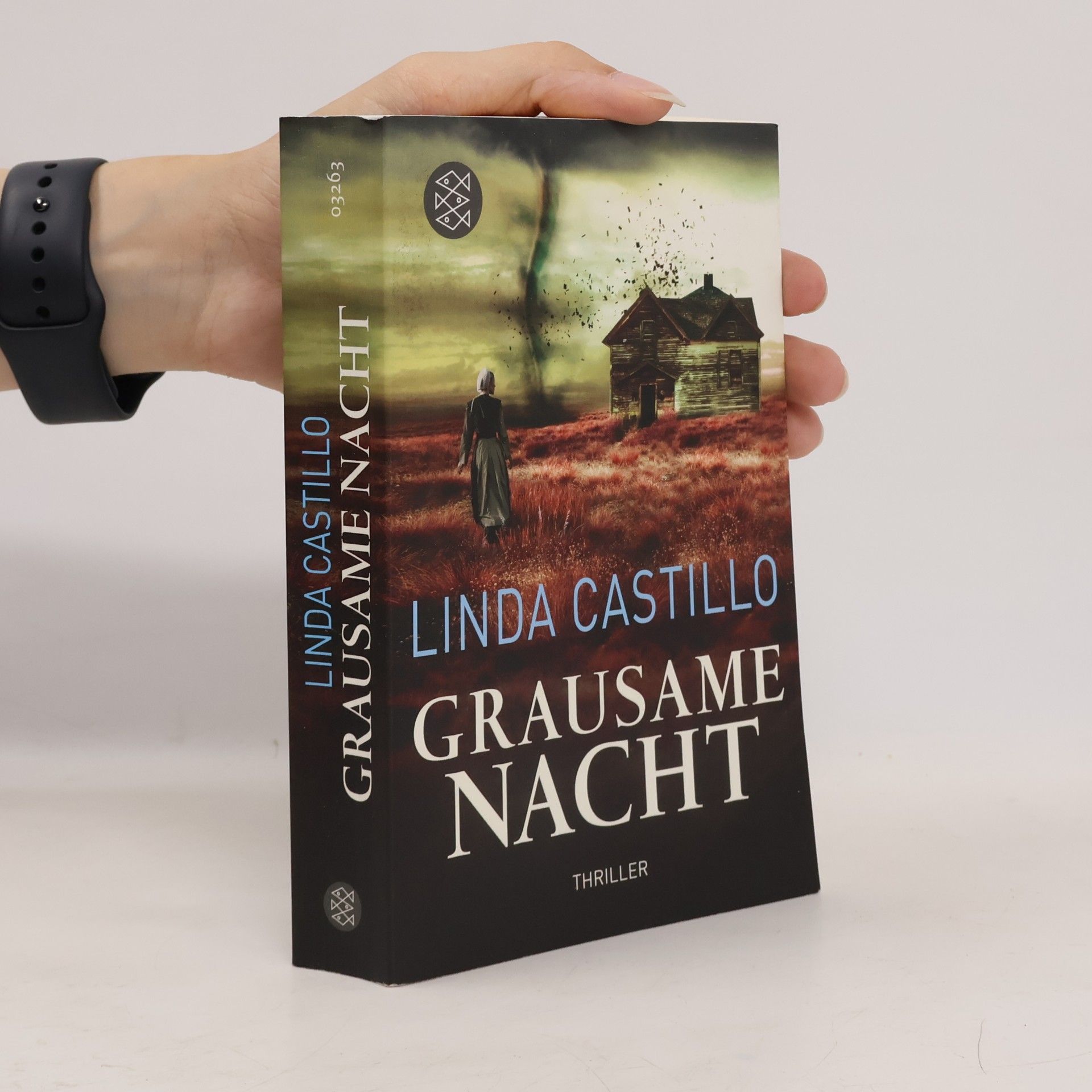 Linda Castillo Grausame Nacht
