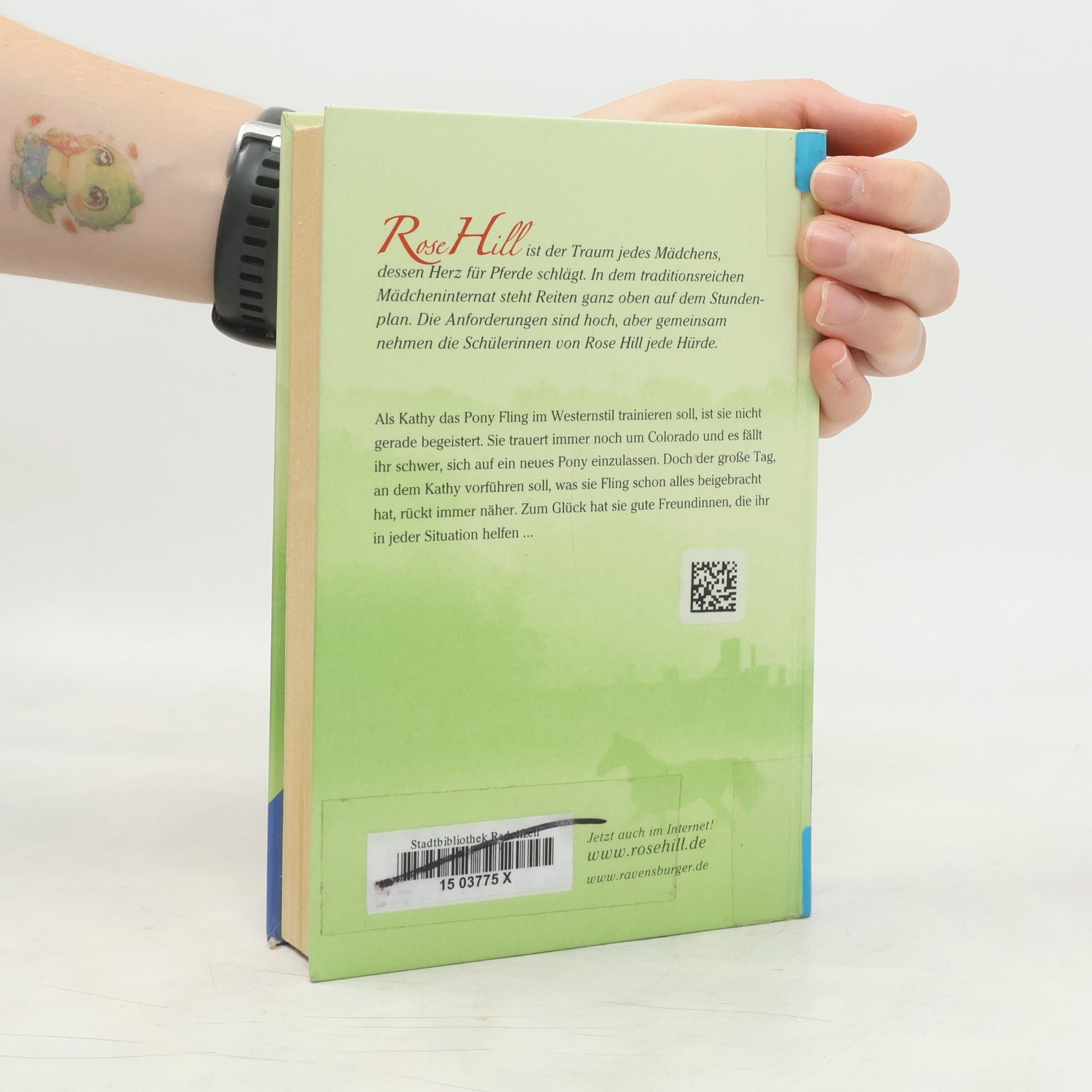 Lauren Brooke Rose Hill - Neuanfang mit Hindernissen