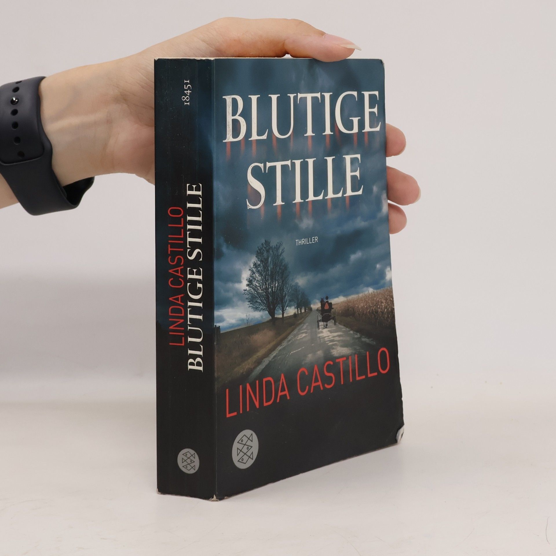 Linda Castillo Blutige Stille