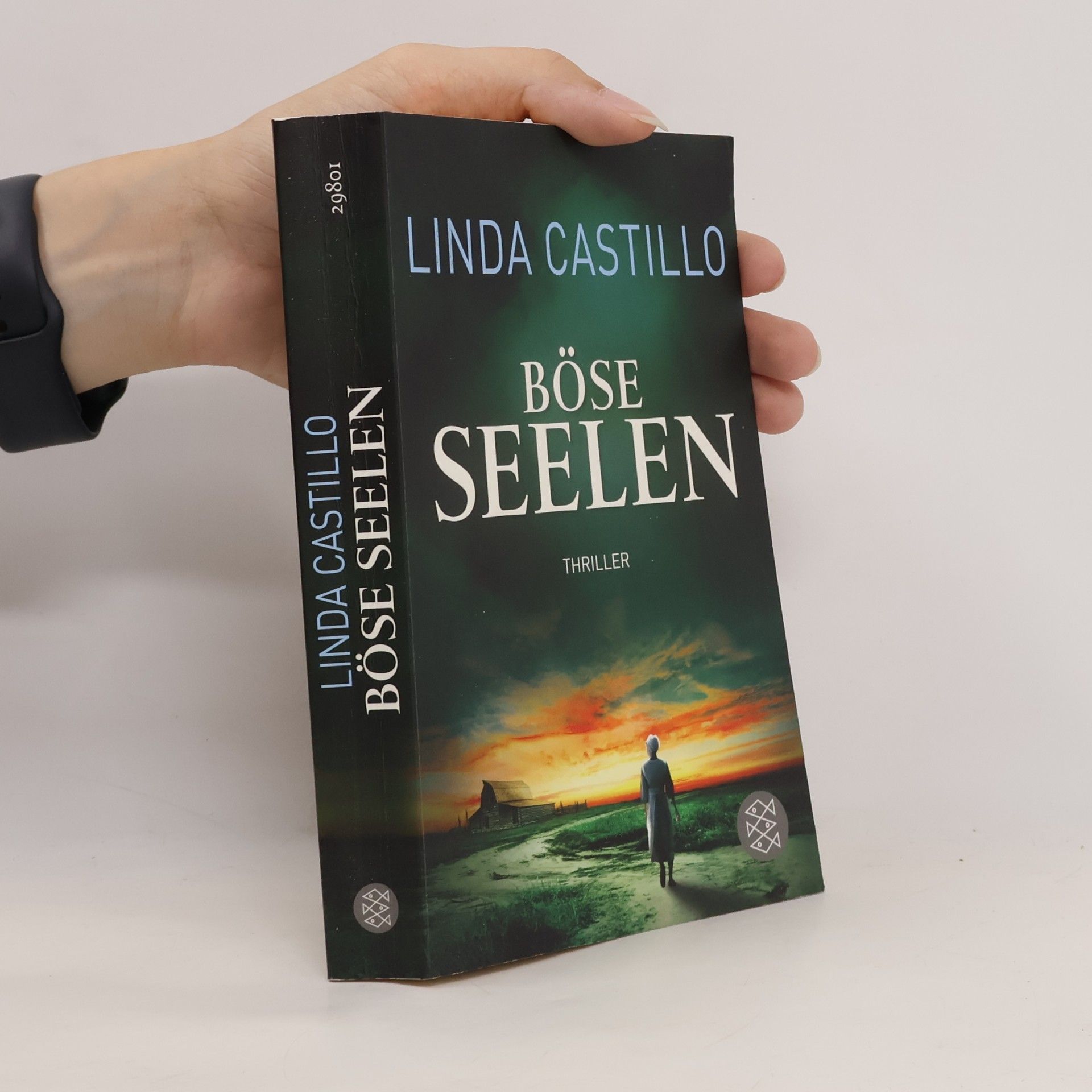 Linda Castillo Böse Seelen