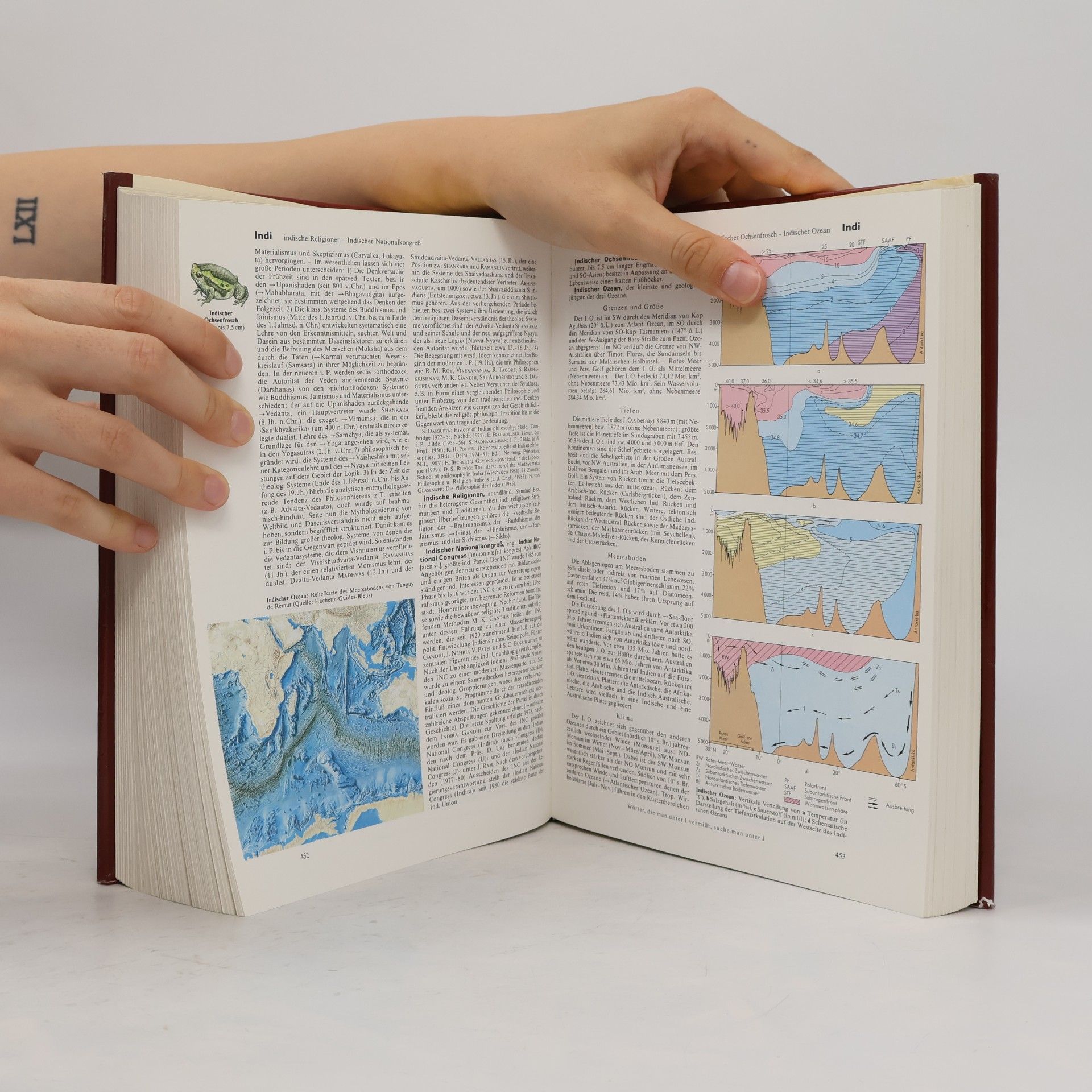 Autorenkollektiv Brockhaus Enzyklopädie 10 (HERR-IS)