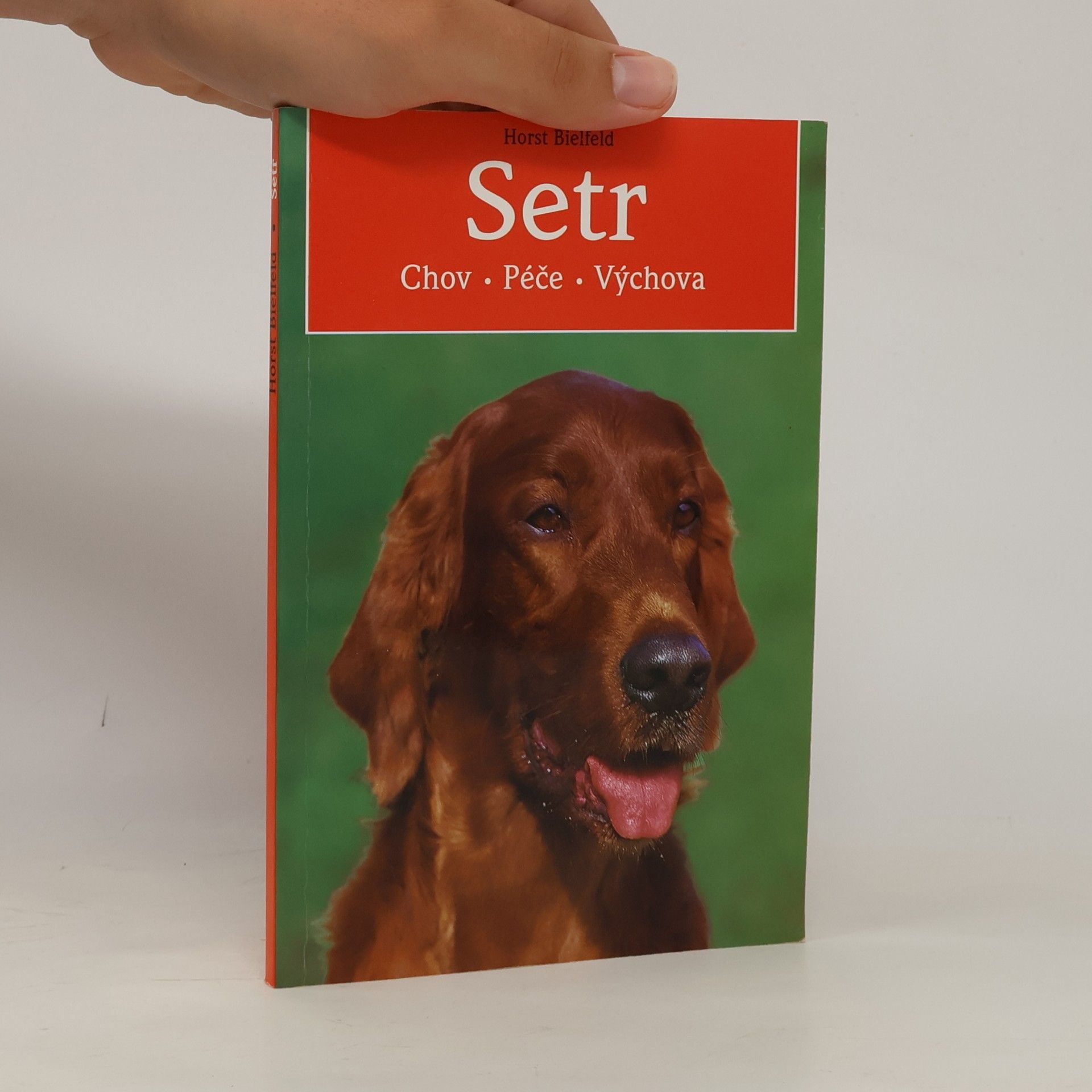Horst Bielfeld Setr: chov, péče, výchova
