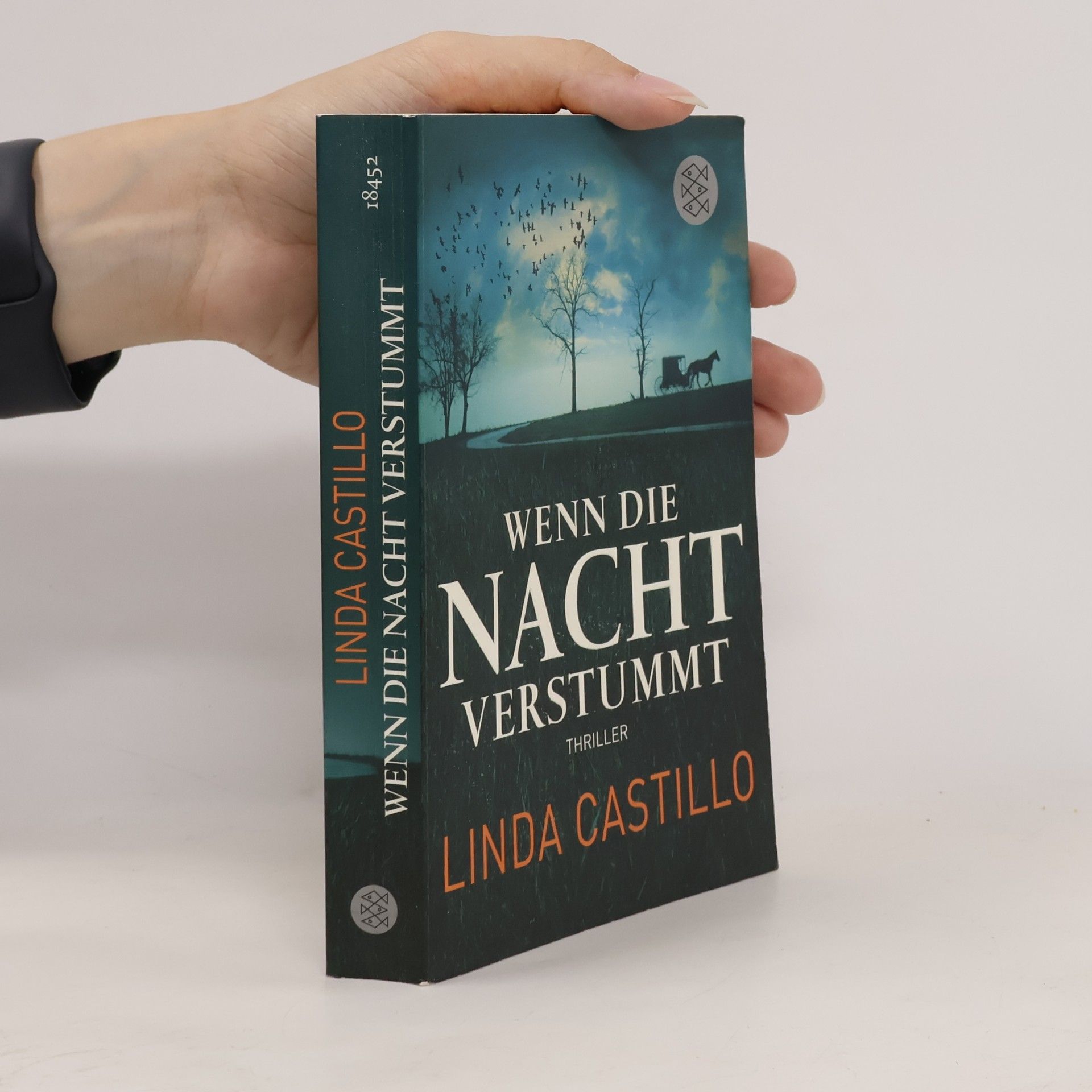 Linda Castillo Wenn die Nacht verstummt
