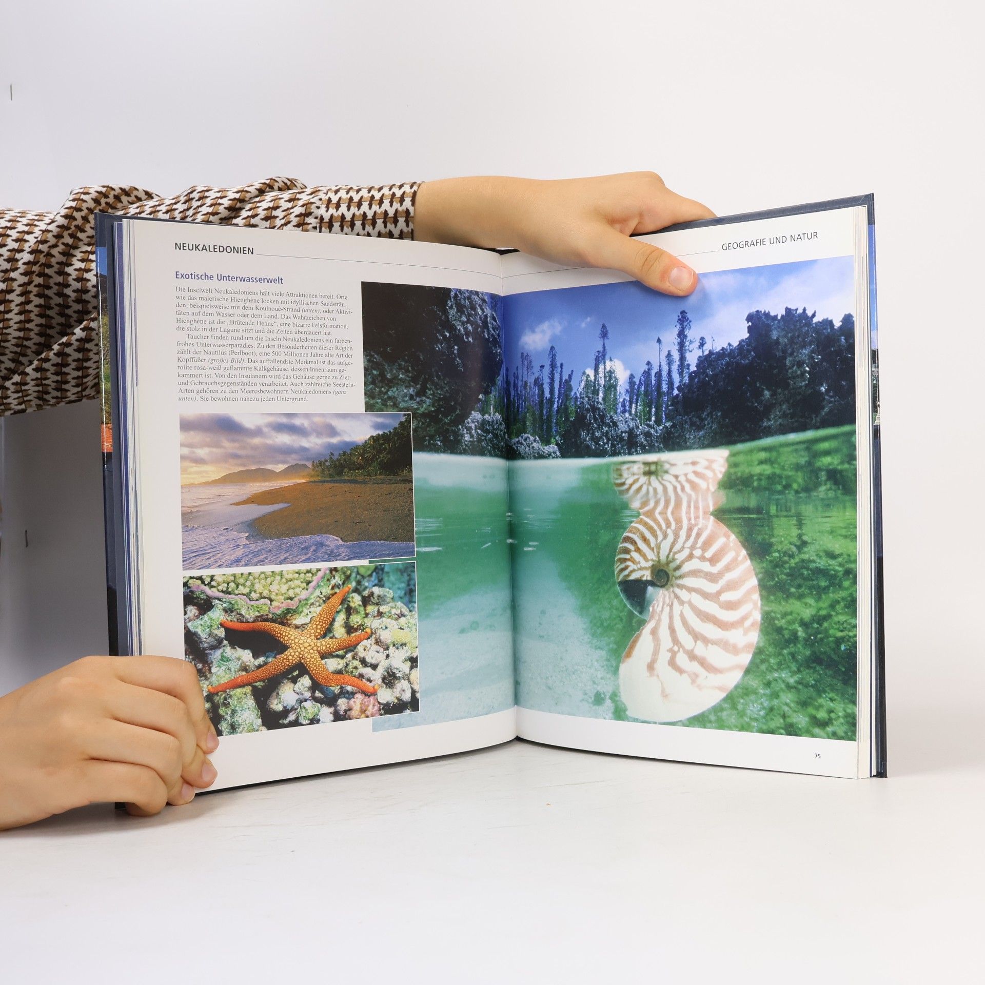 Collectif d'auteurs Australien und Ozeanien