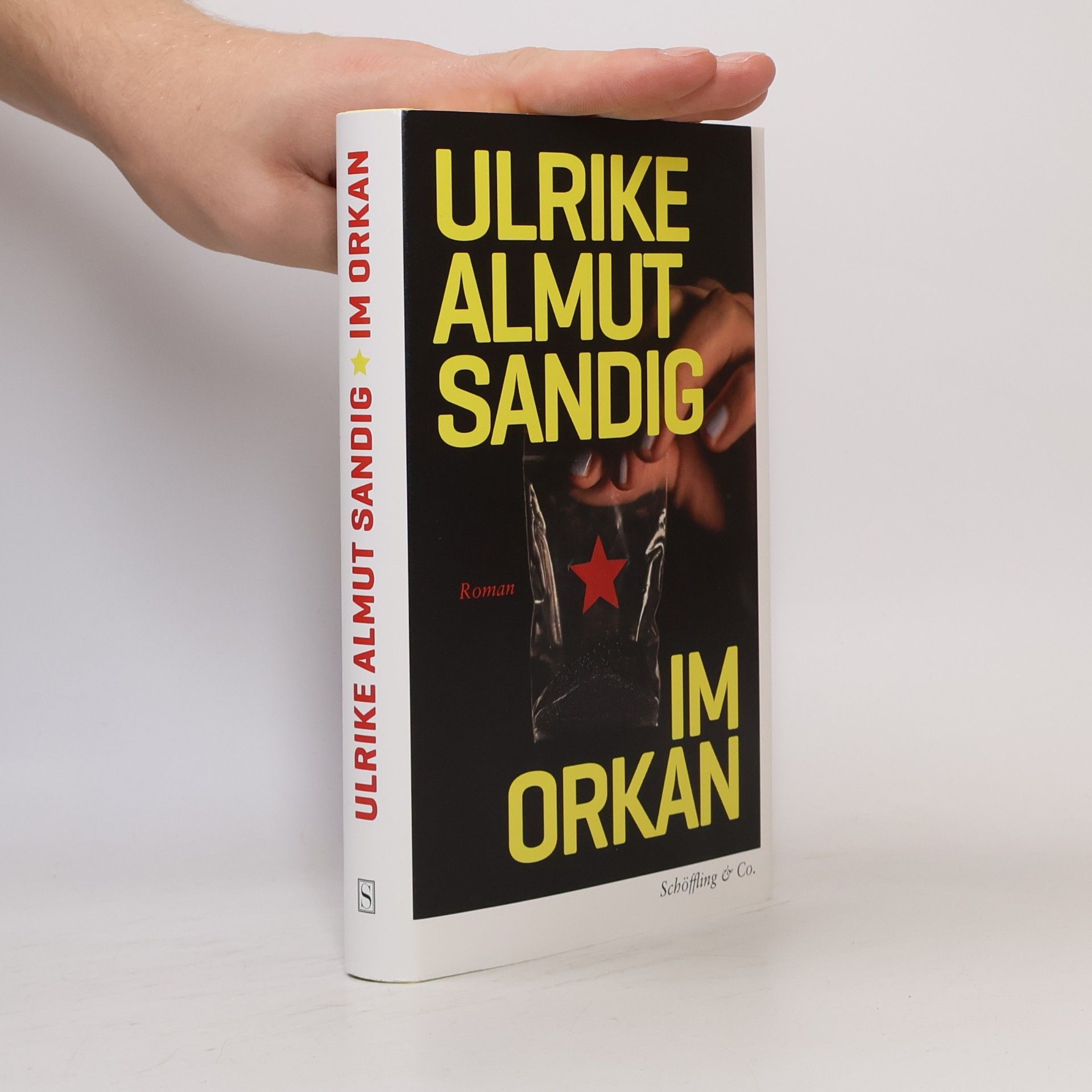 Ulrike Almut Sandig Im Orkan