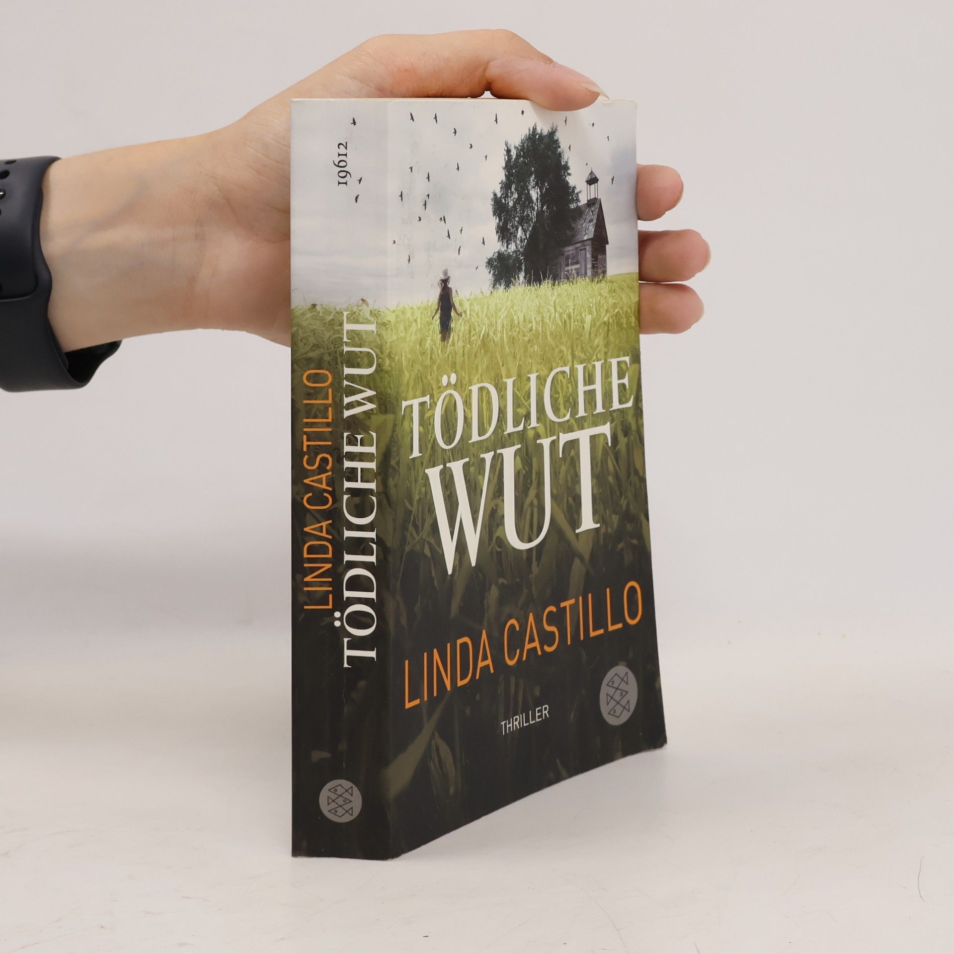 Linda Castillo Tödliche Wut