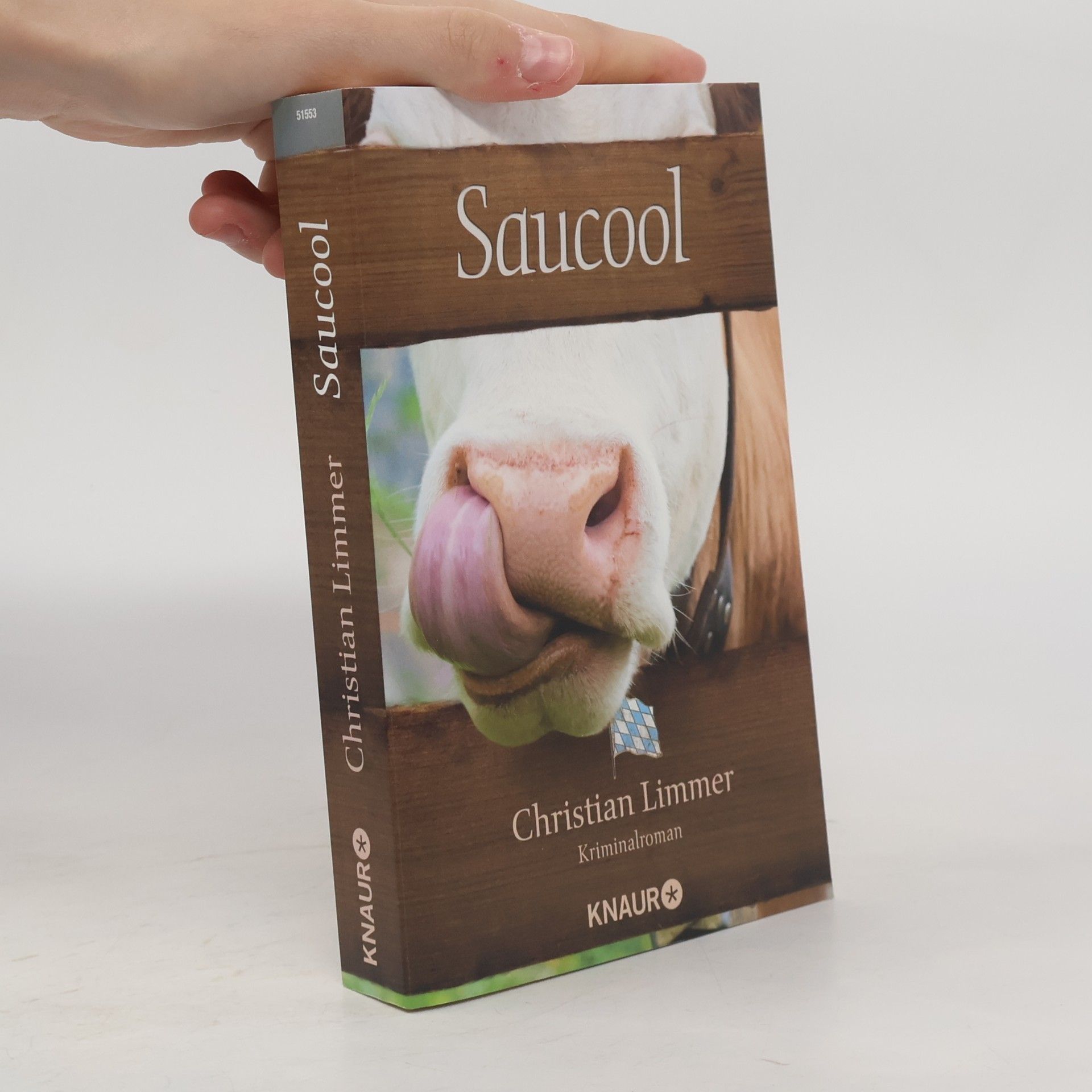 Christian Limmer Saucool