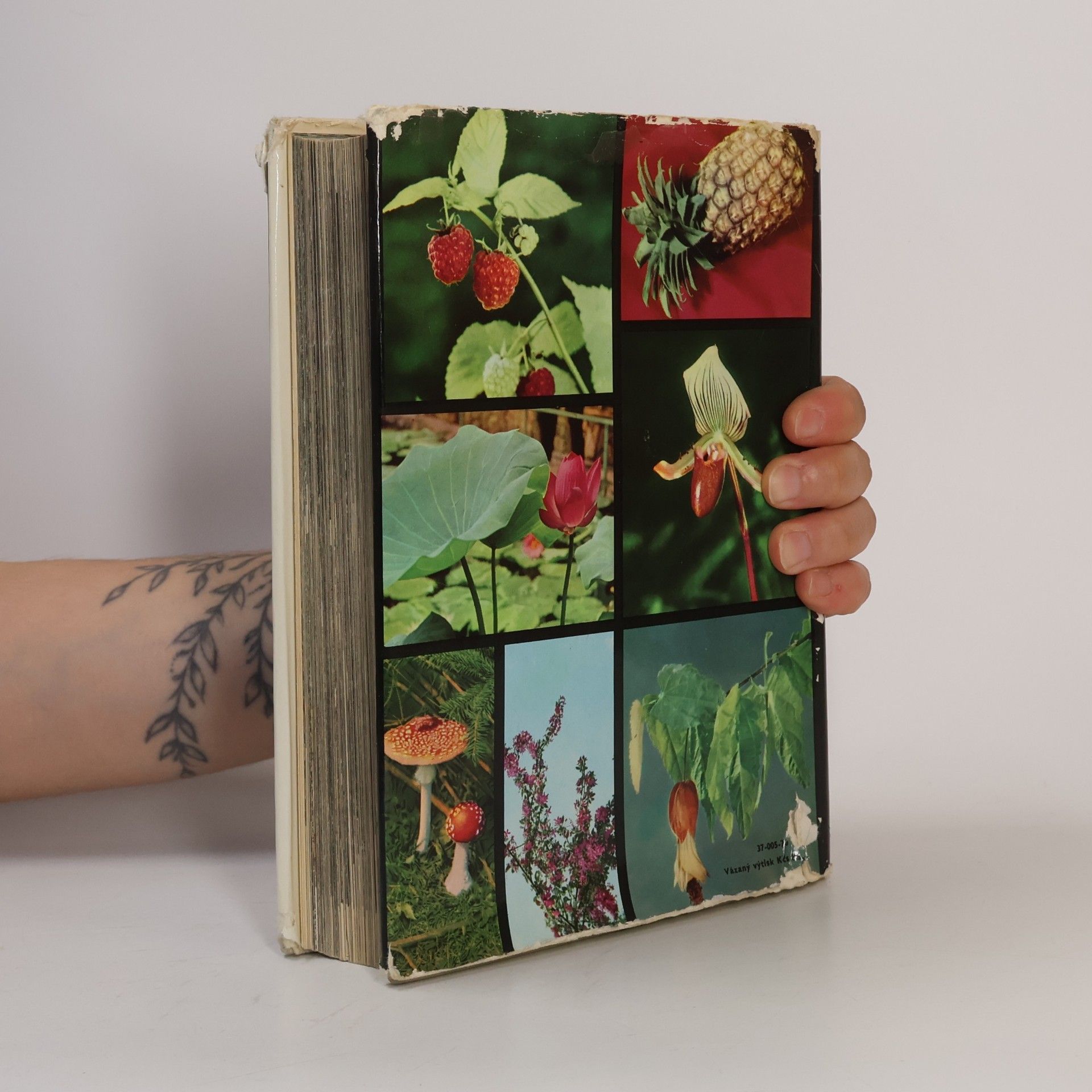 František Antonín Novák Velký obrazový atlas rostlin