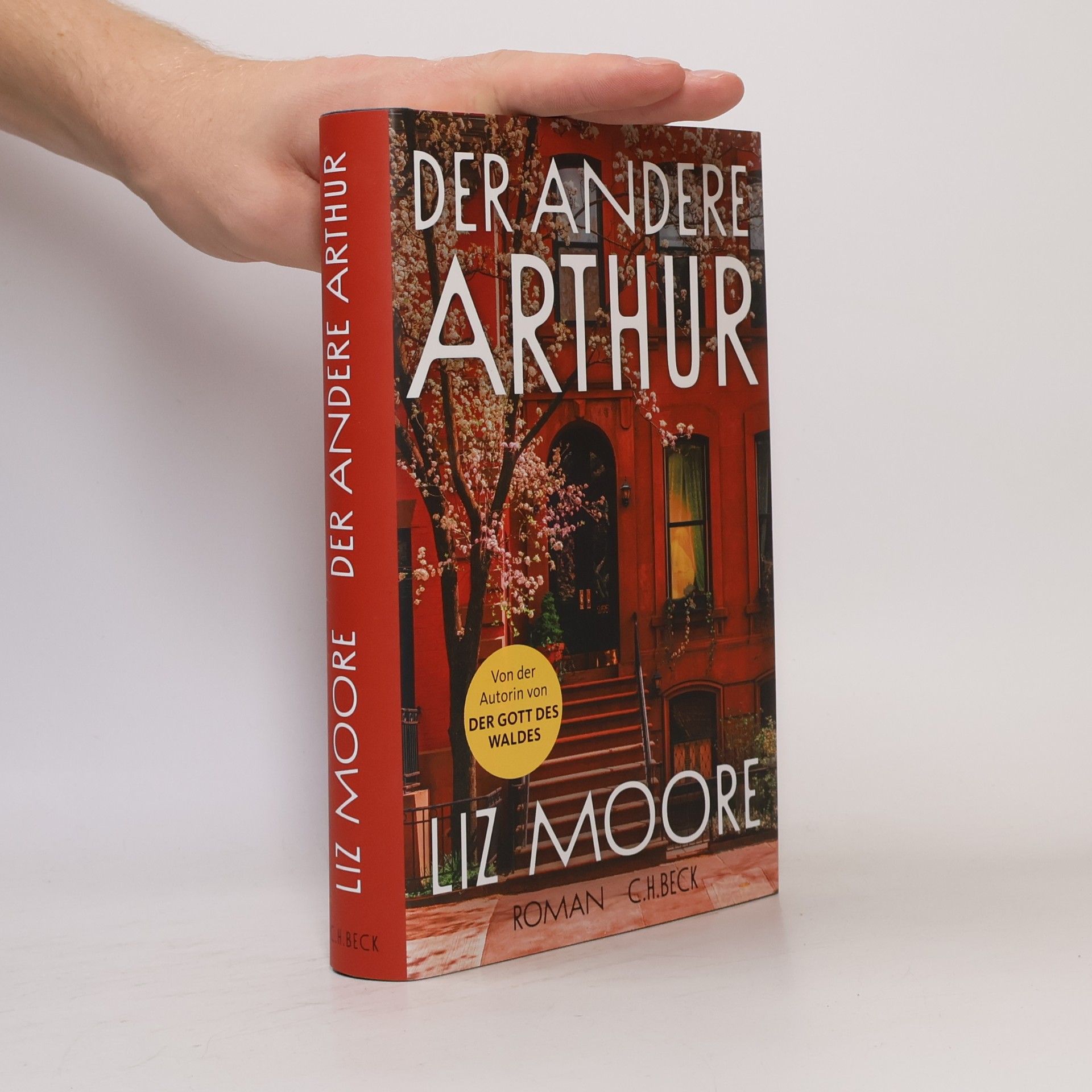Liz Moore Der andere Arthur