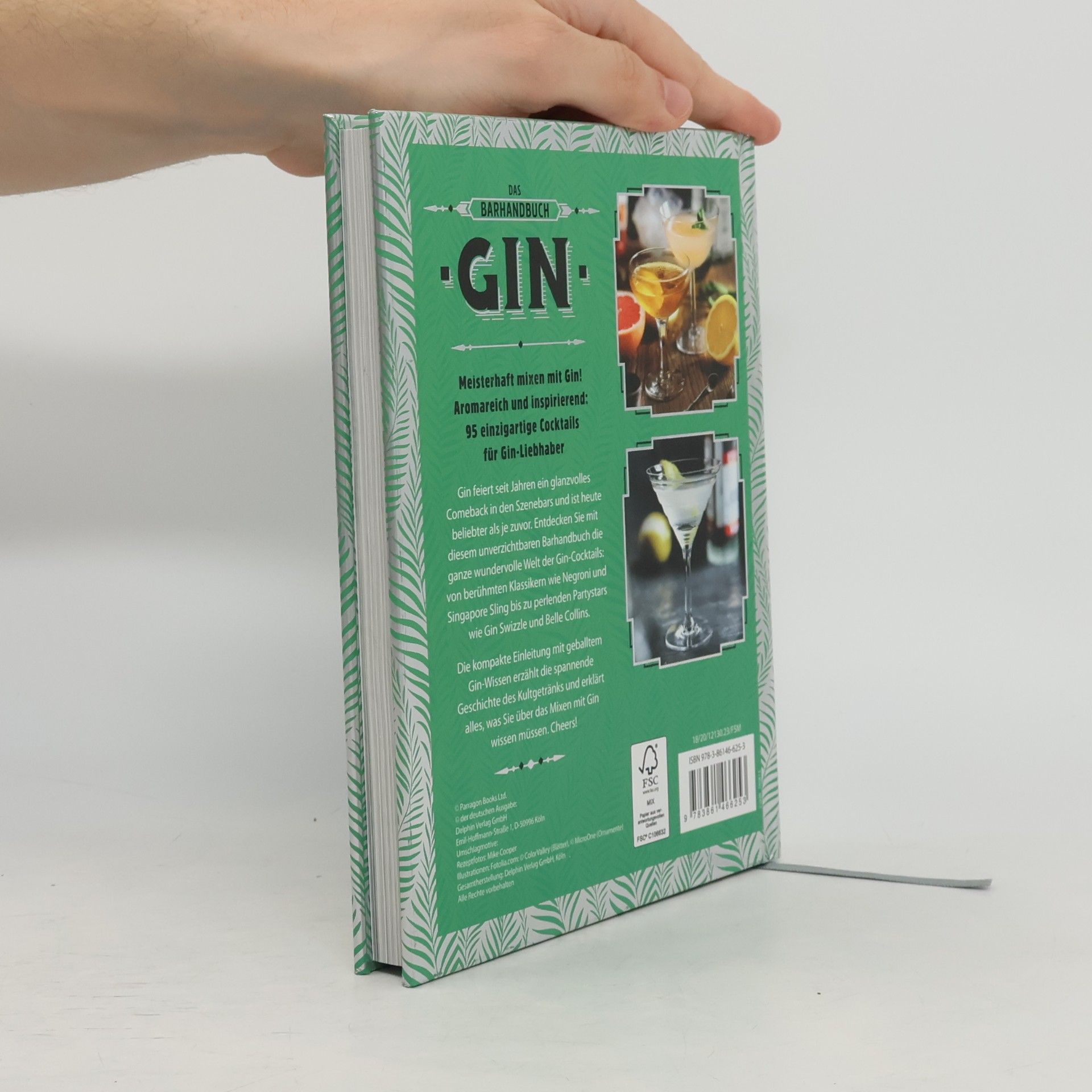Kolektív autorov Das Barhandbuch Gin
