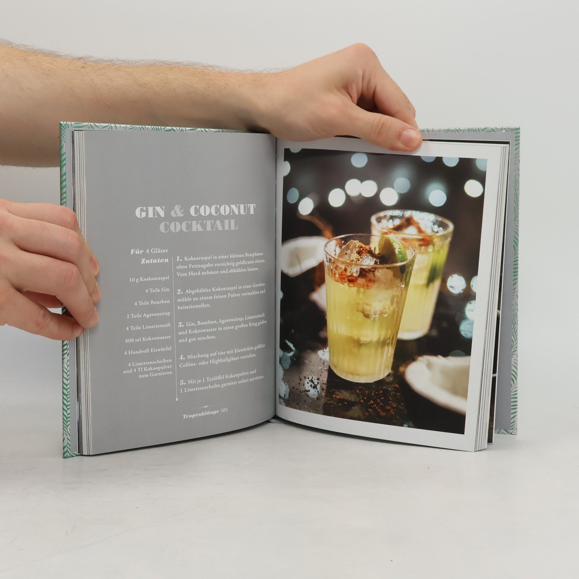 Kolektív autorov Das Barhandbuch Gin