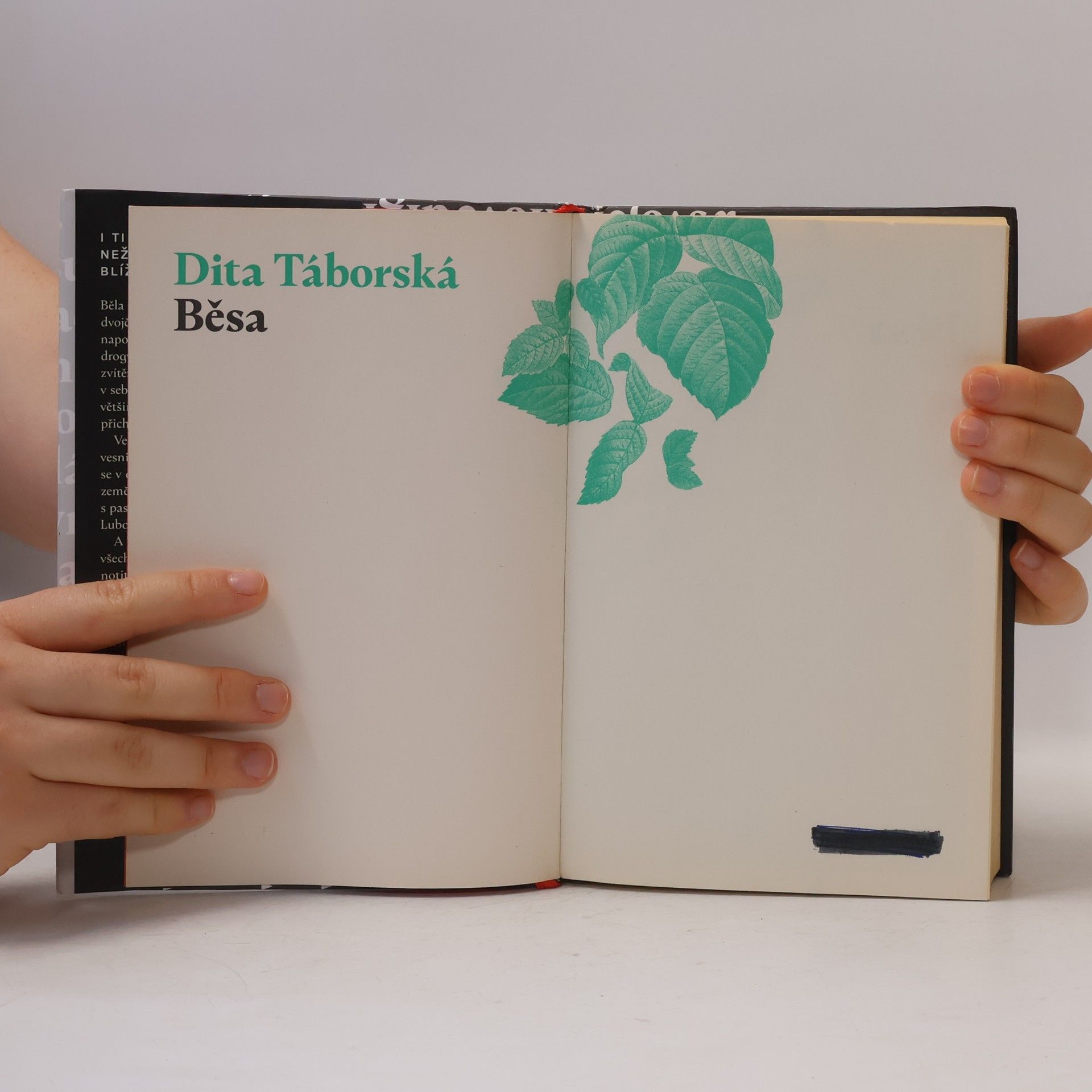 Dita Táborská Běsa