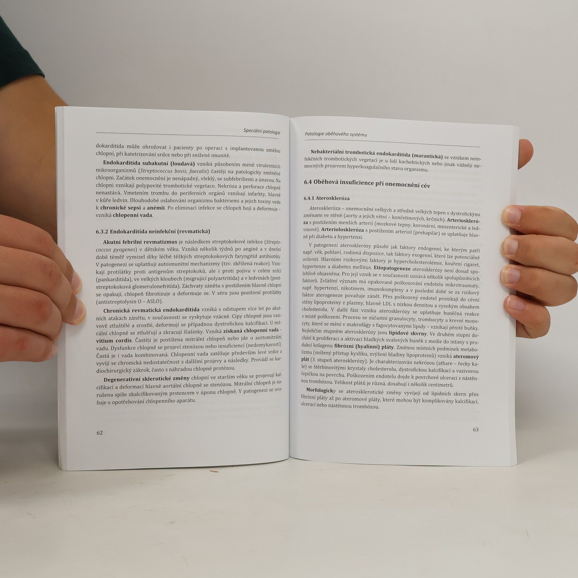Autorenkollektiv Úvod do preklinické medicíny. Patologie