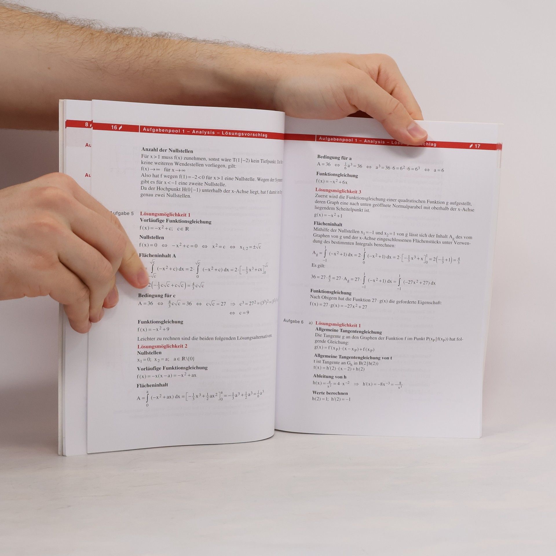 Peter Bunzel BundesAbitur Mathematik
