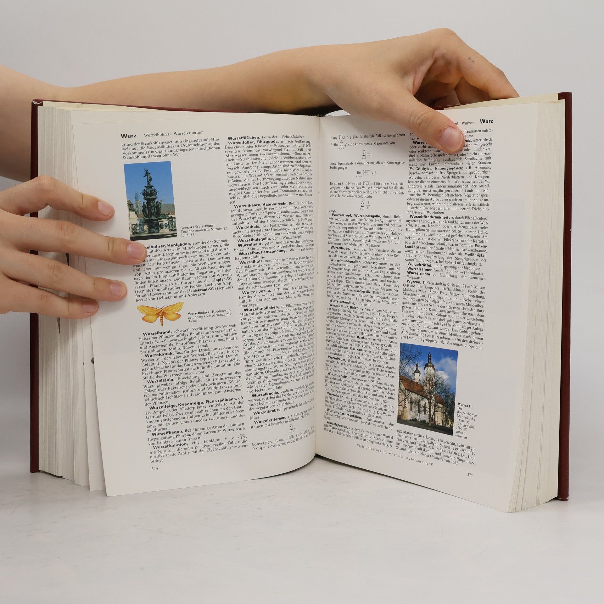 kolektiv Brockhaus Enzyklopädie 24 (Wek-Zz)