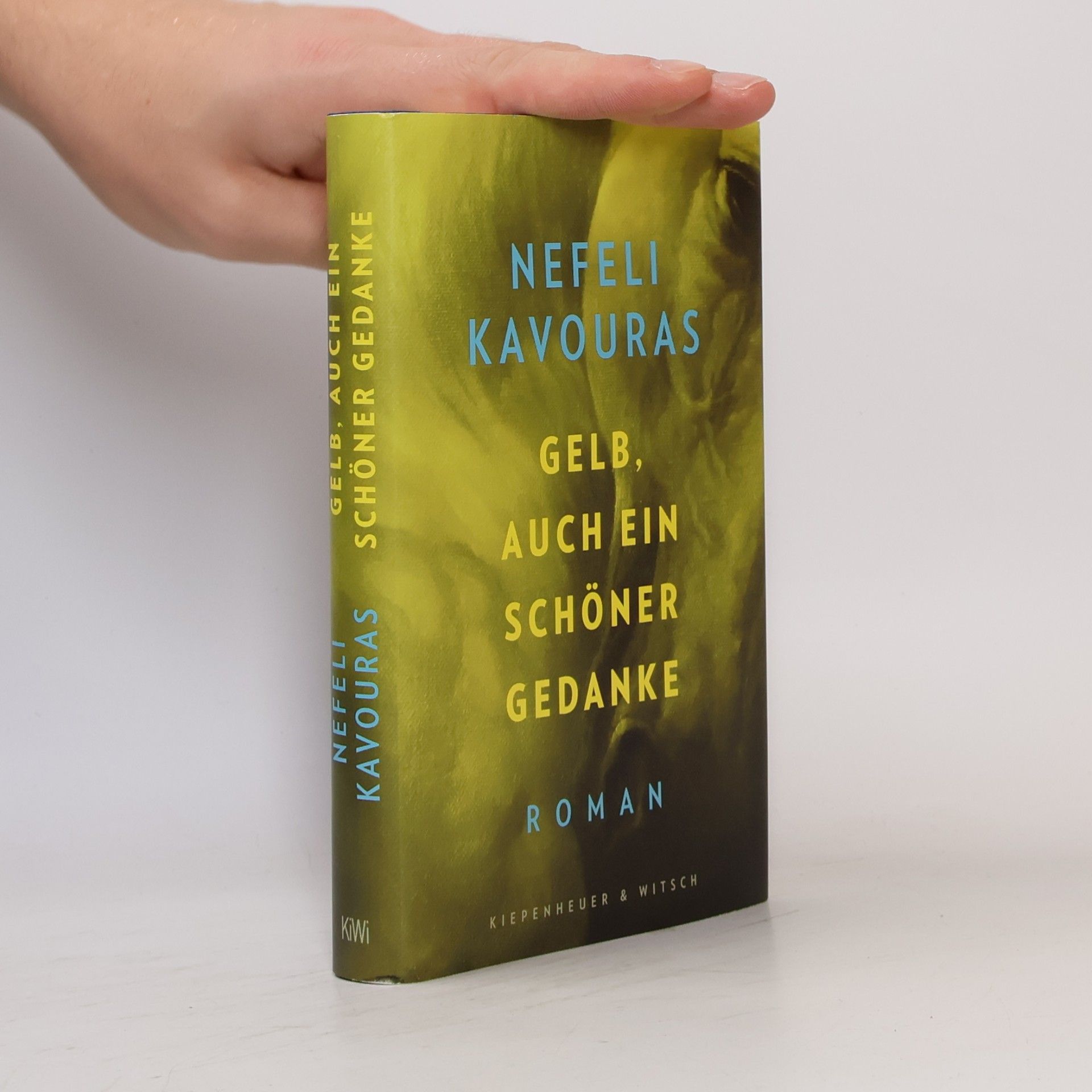 Nefeli Kavouras Gelb, auch ein schöner Gedanke: Roman