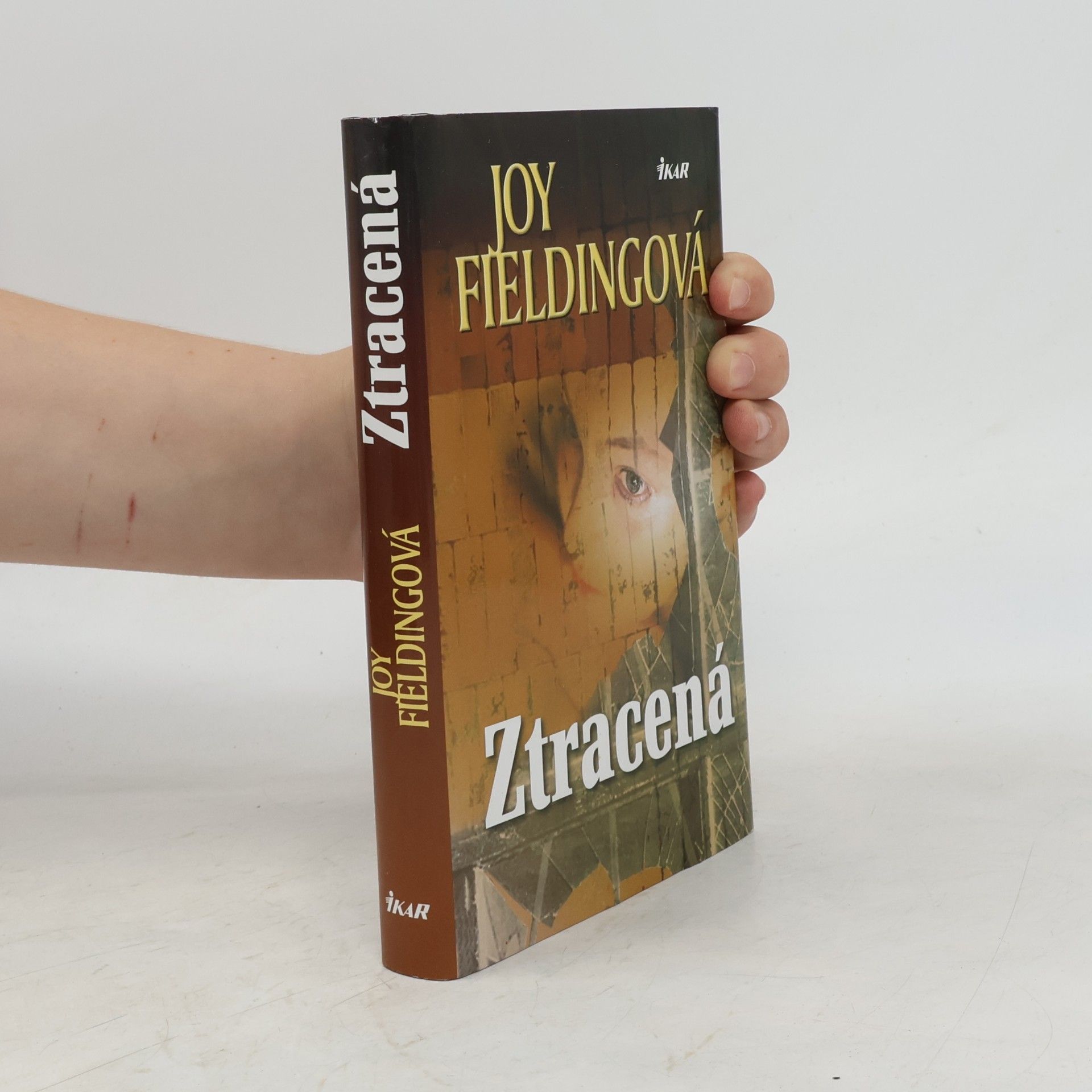 Joy Fielding Ztracená