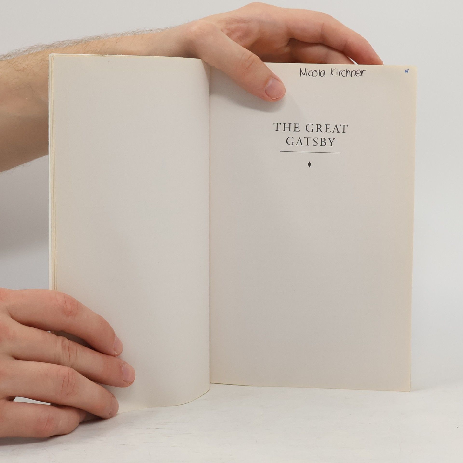 Francis Scott Fitzgerald The Great Gatsby