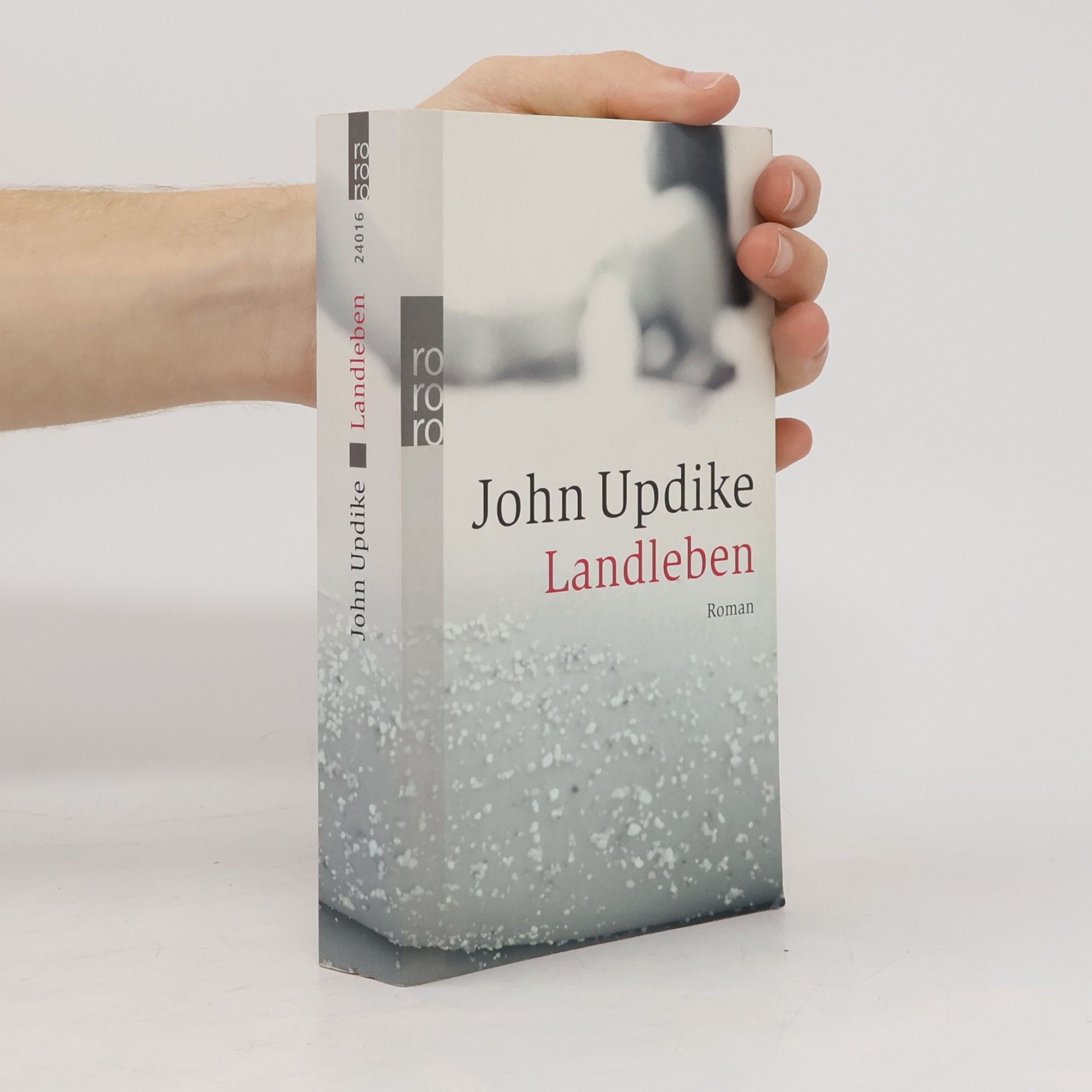 John Updike Landleben: Roman