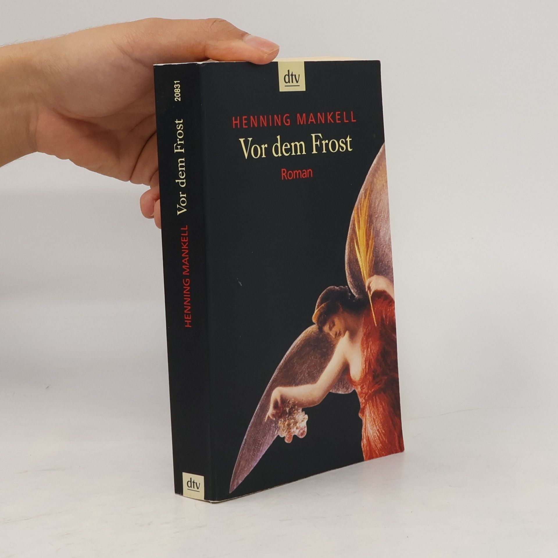 Henning Mankell Vor dem Frost