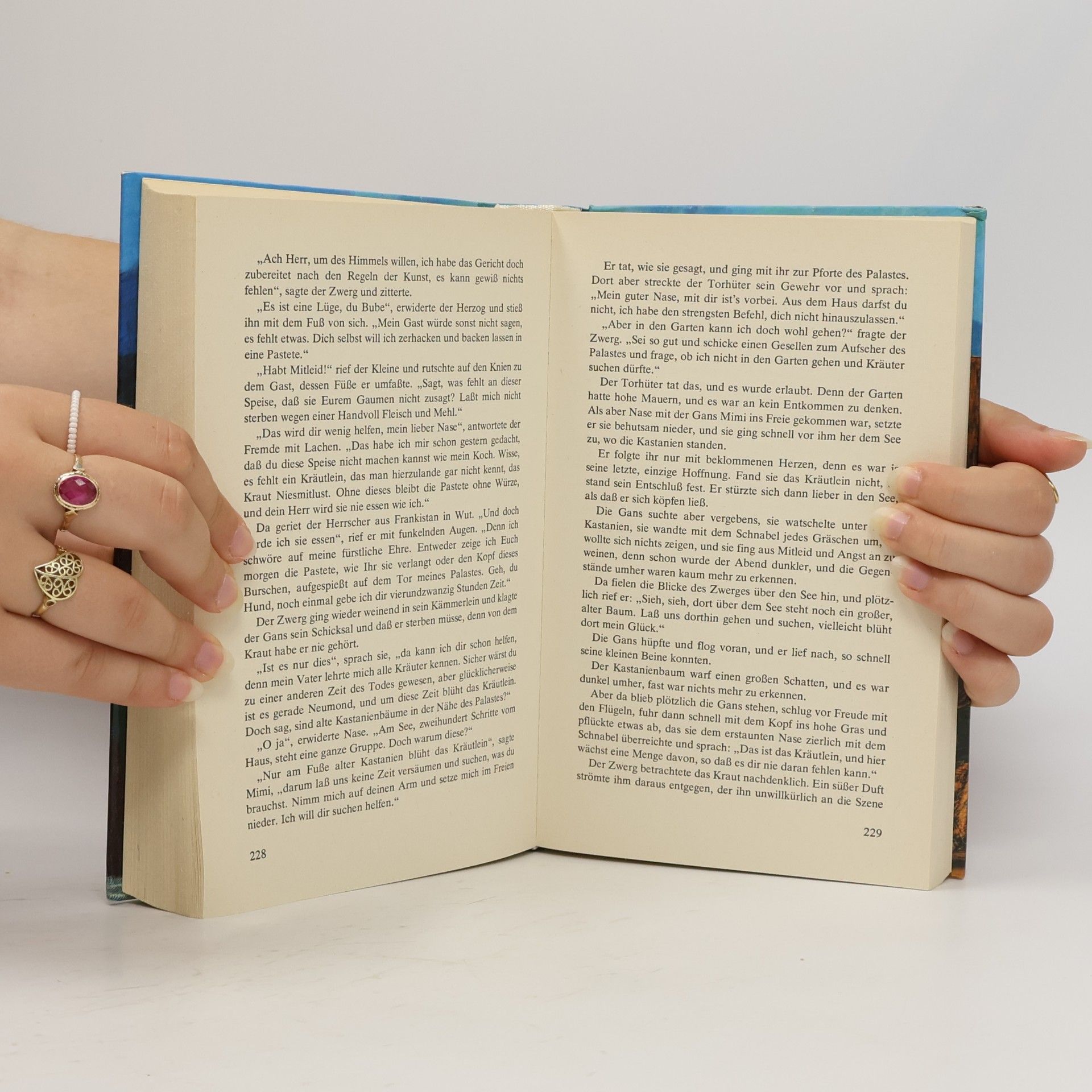 Roland W. Pinson Das große Märchen- und Sagenbuch