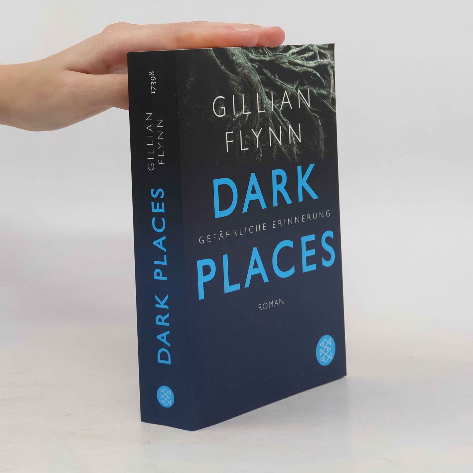 Gillian Flynn Dark Places - Gefährliche Erinnerung