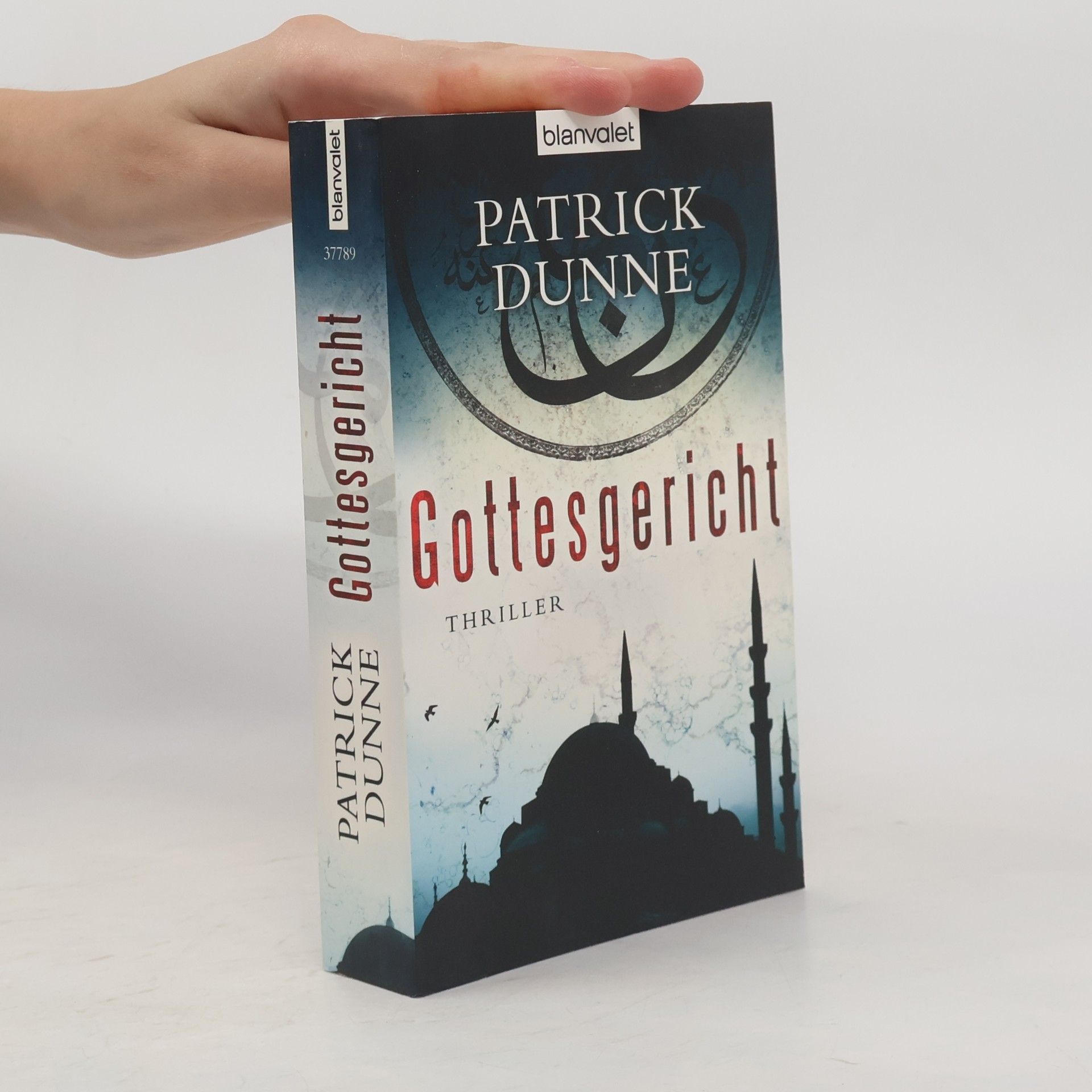 Patrick Dunne Gottesgericht. Thriller