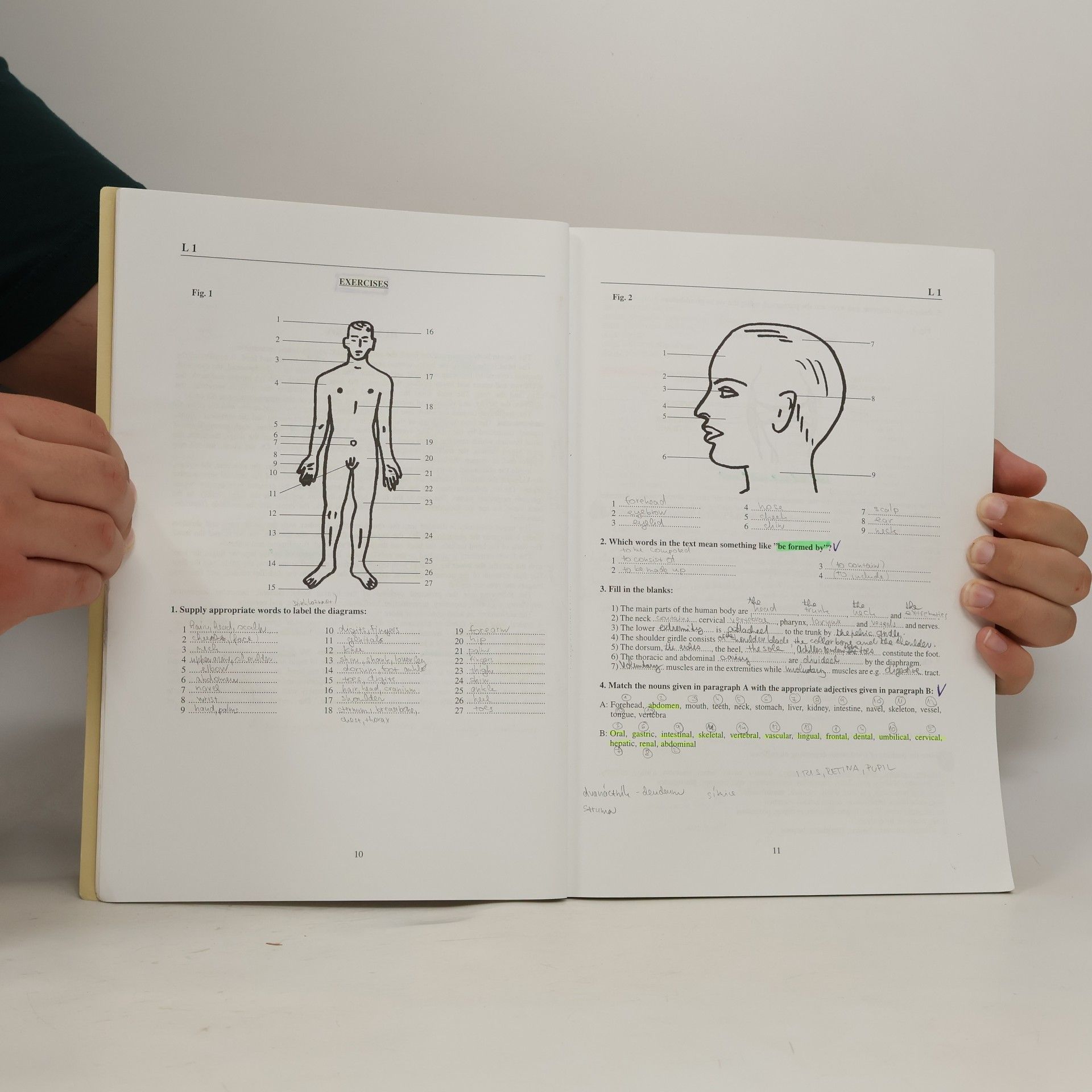 Blažena Weberová English For Medical Students (New Revised Edition)