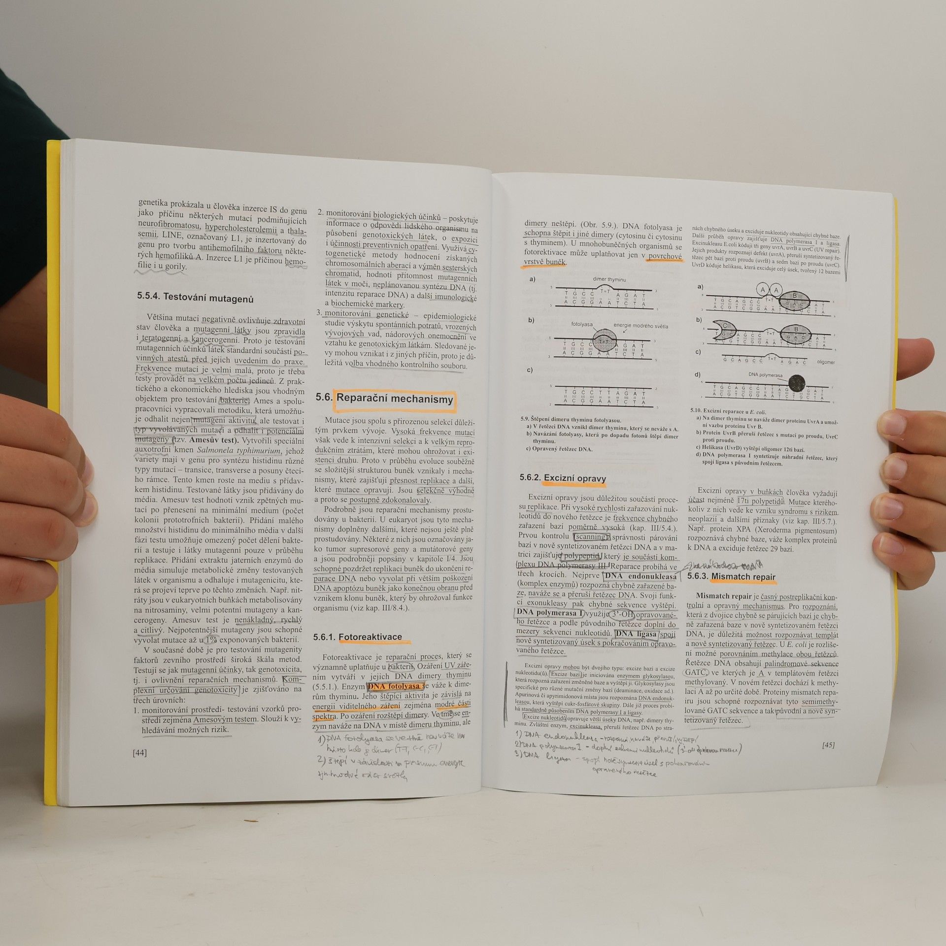 Jan Kapras Kapitoly z lékařské biologie a genetiky III.