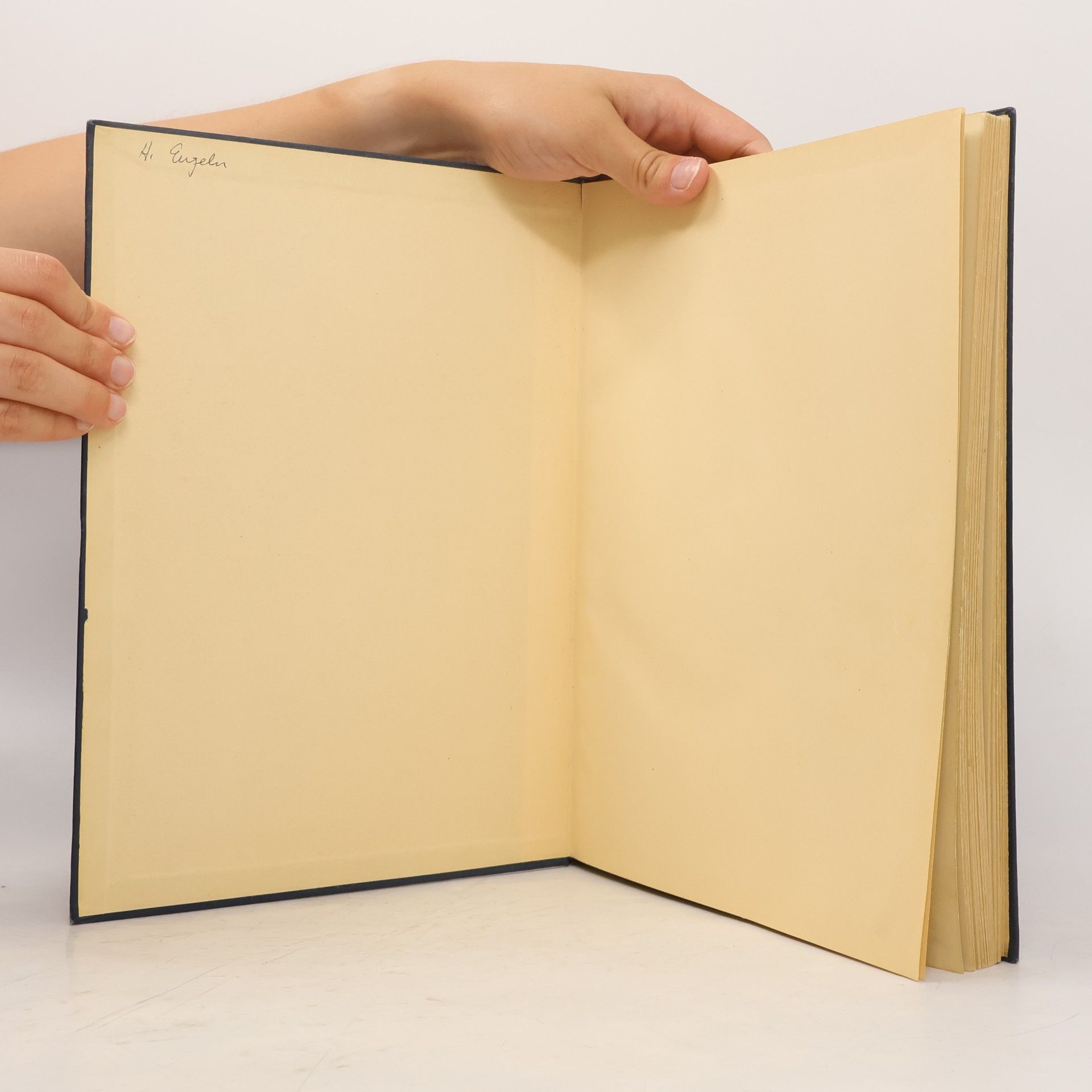 Friedrich Meyner Künstler anatomie