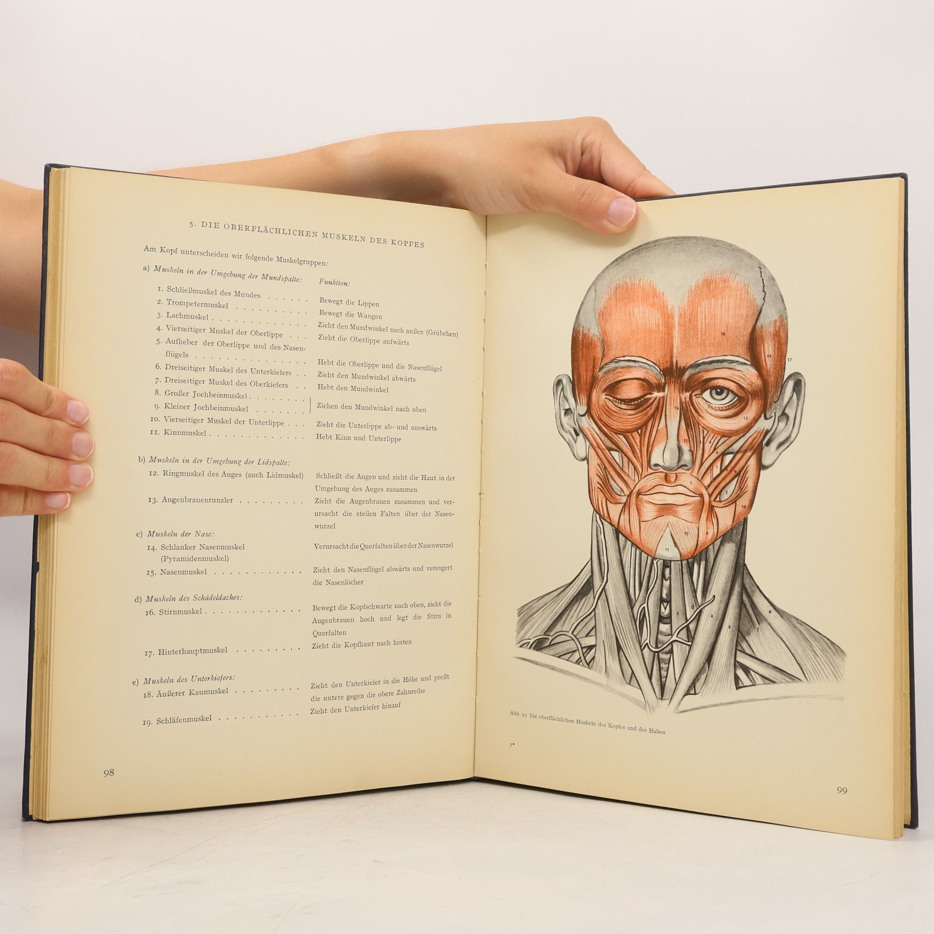 Friedrich Meyner Künstler anatomie