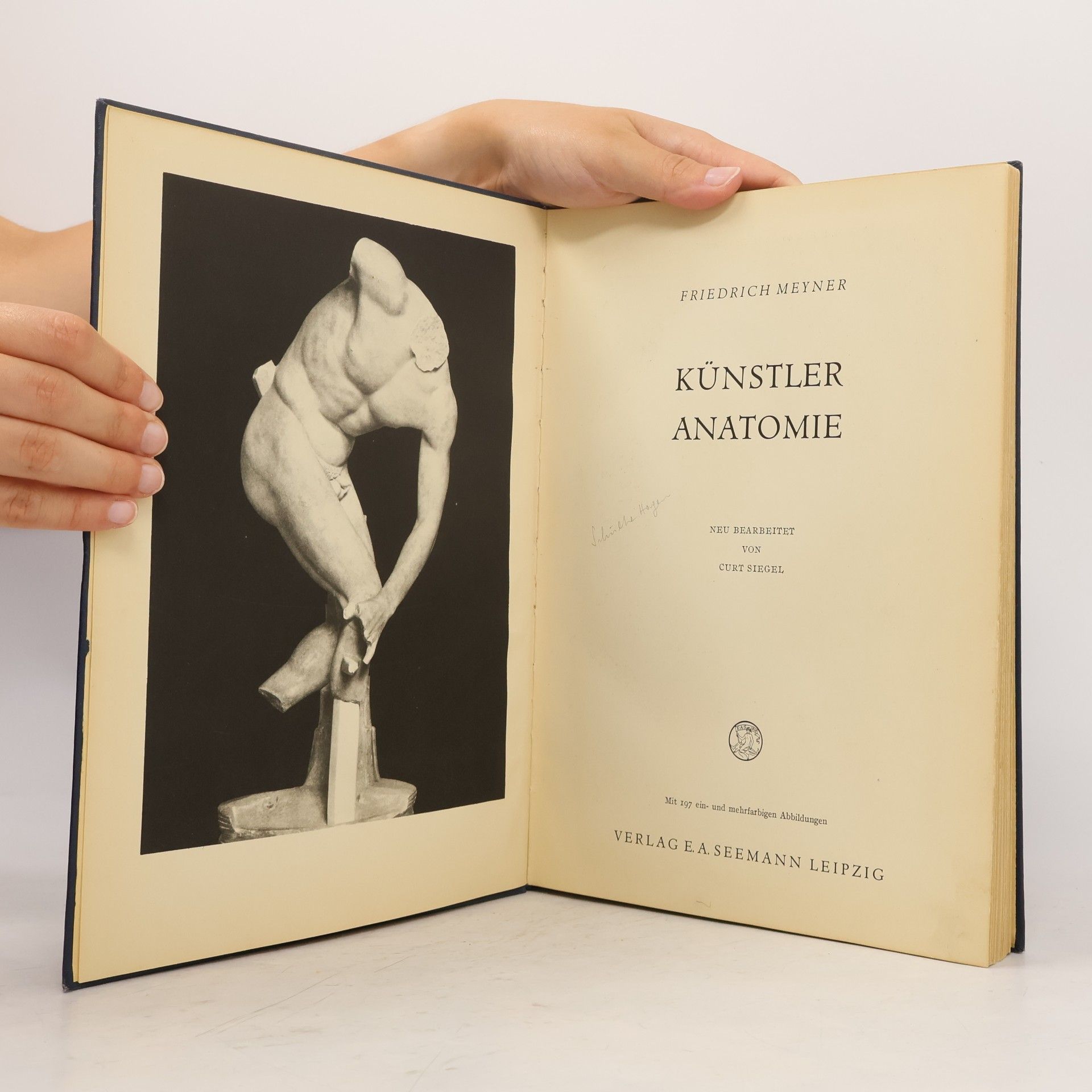 Friedrich Meyner Künstler anatomie