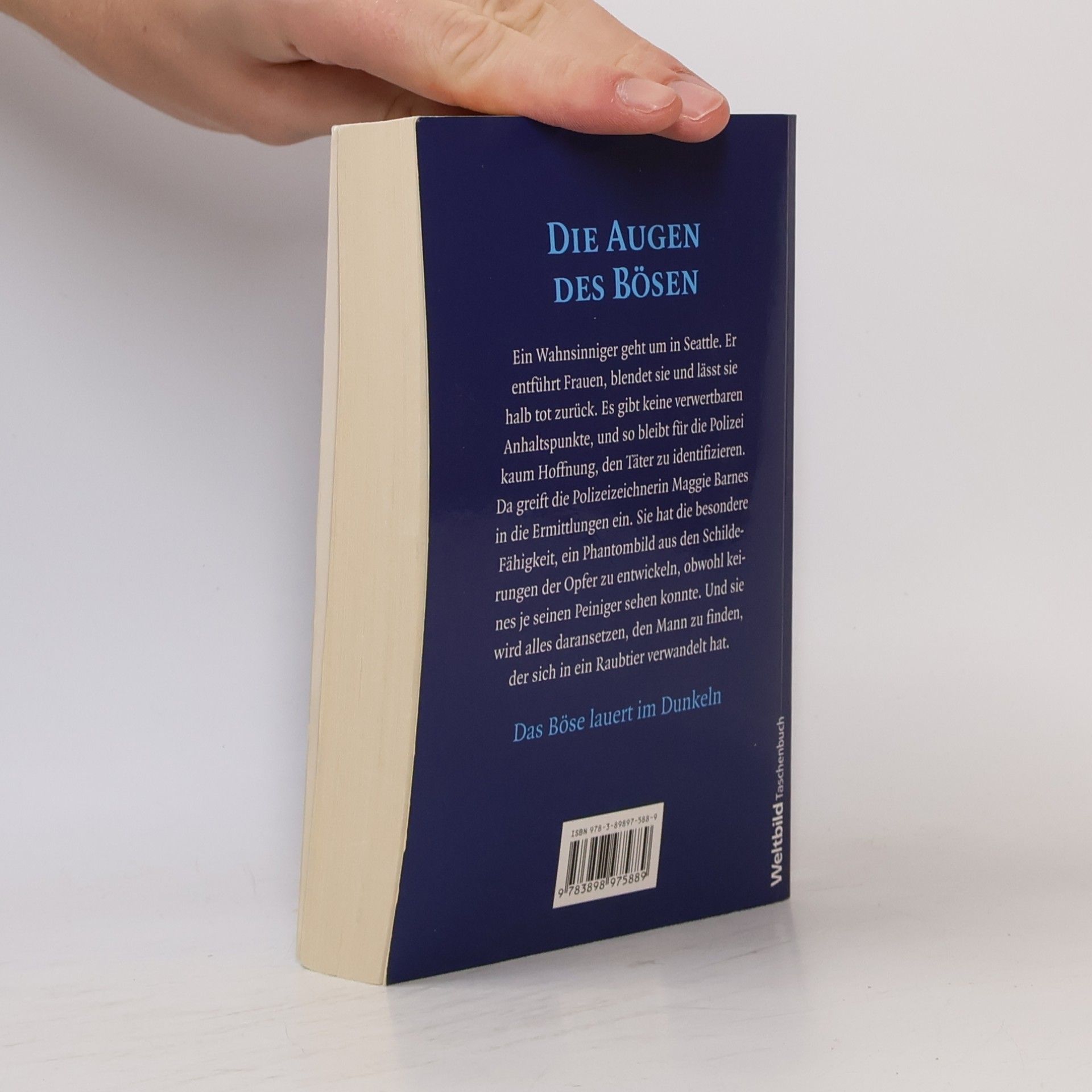 Kay Hooper Die Augen des Bösen